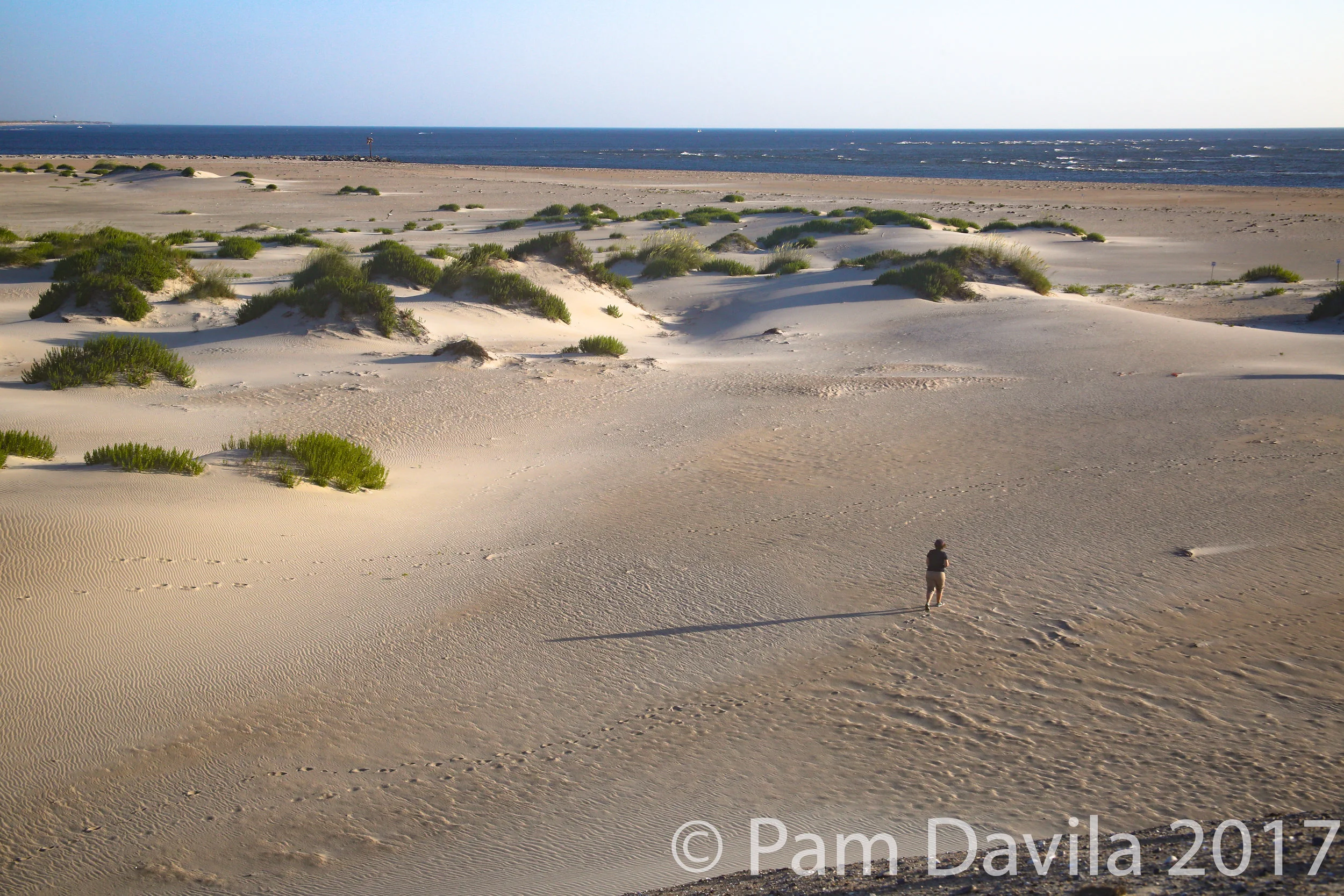 Morning on the dunes