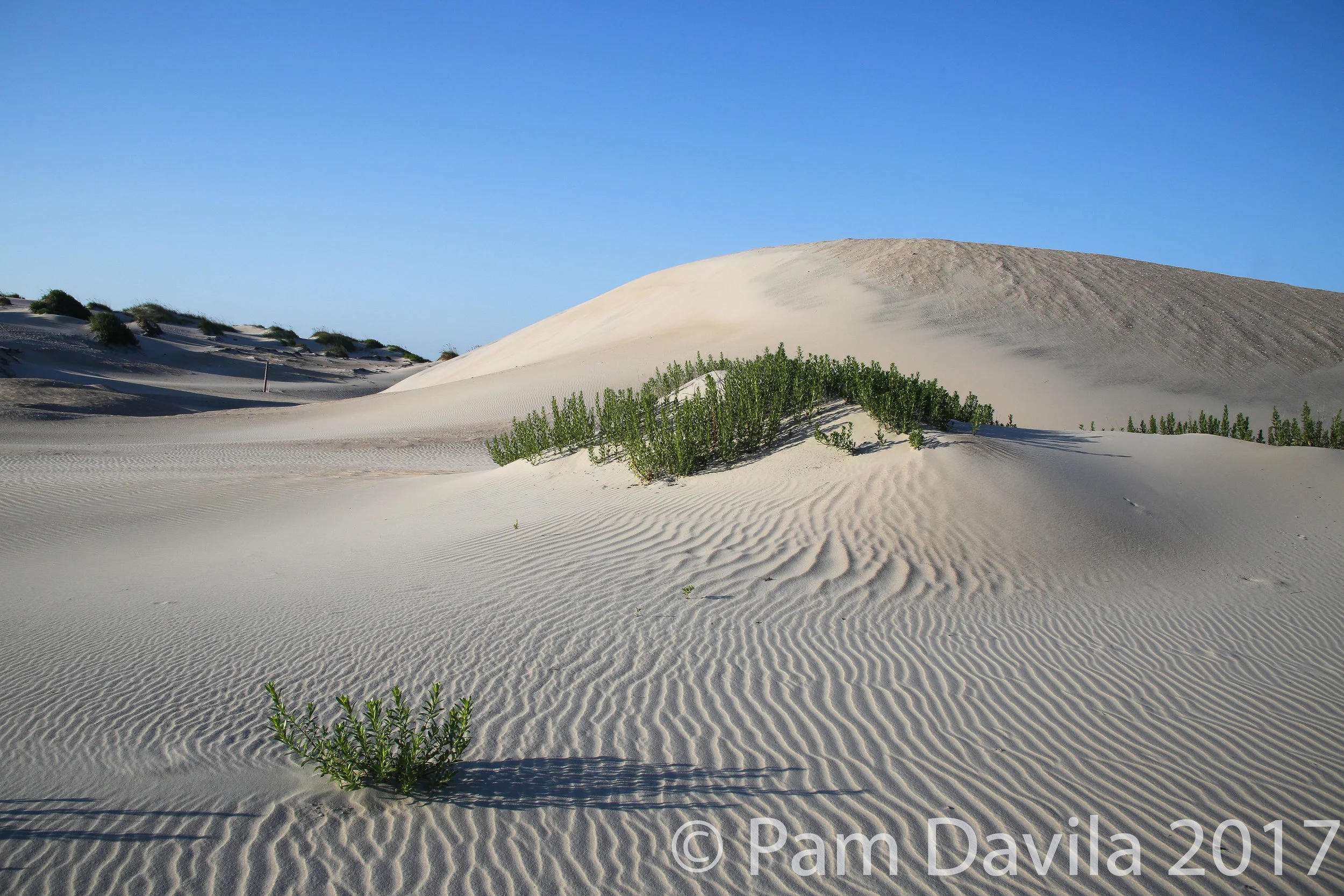 Sand dune ripples