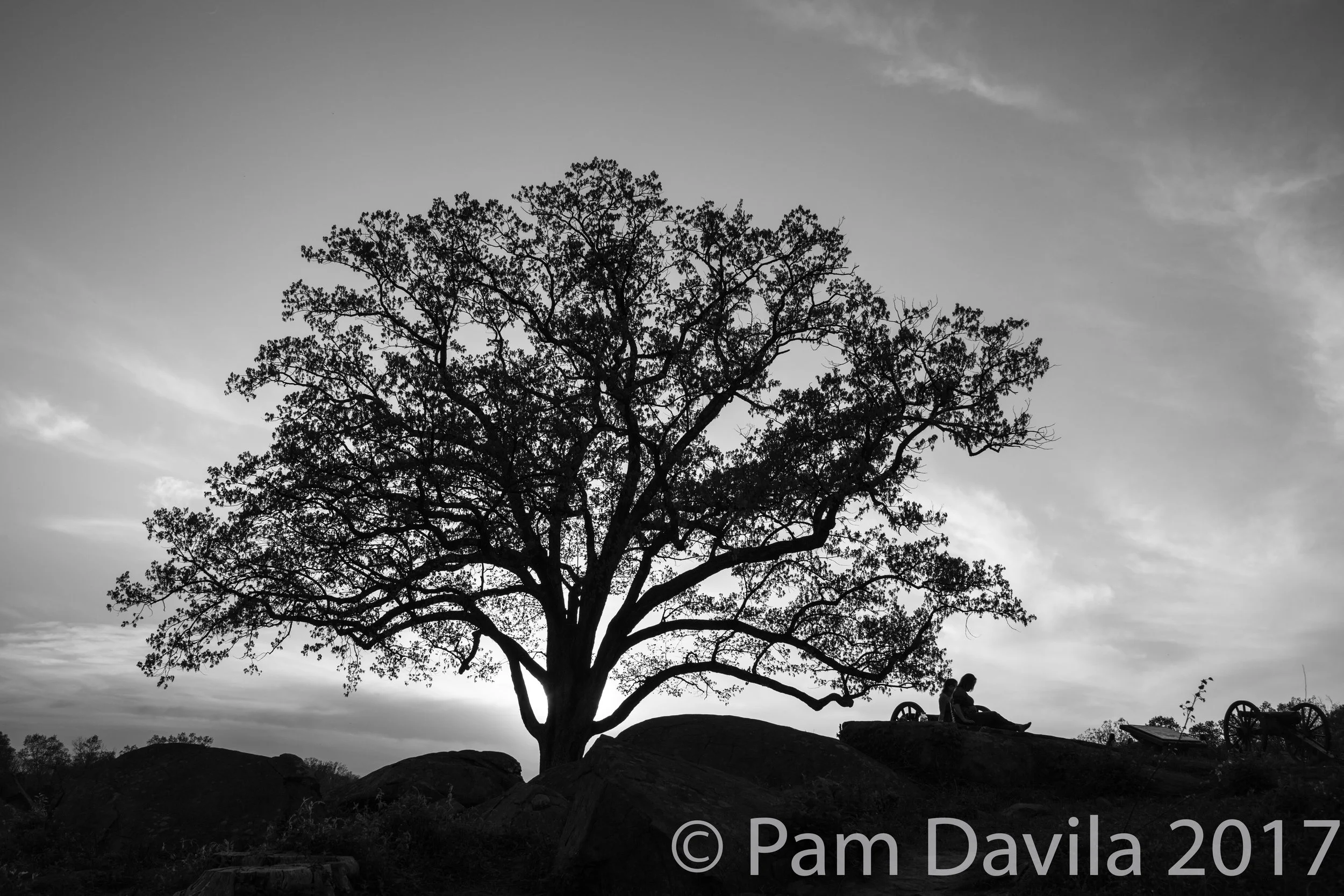 Silhouettes