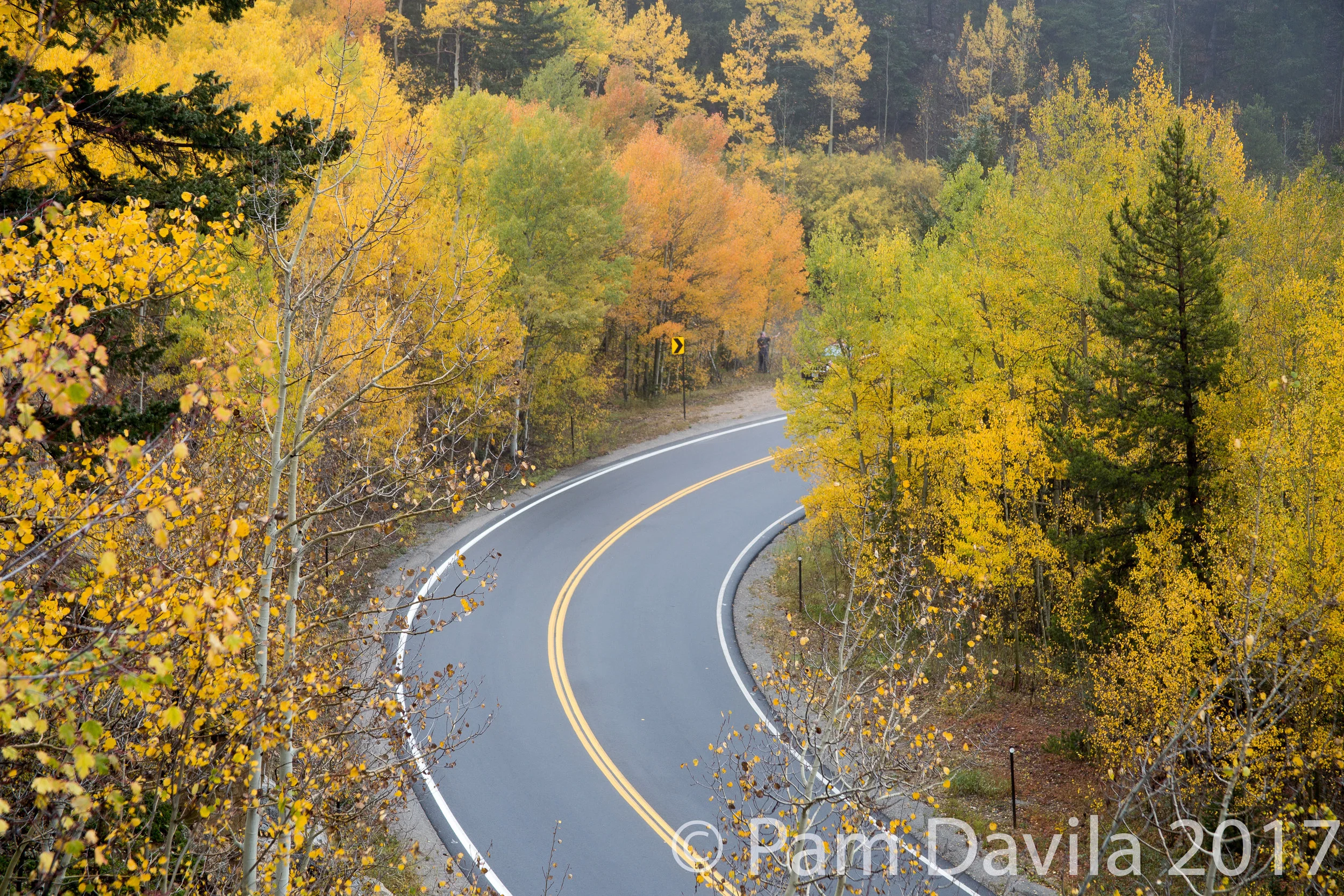 Mount Evans Scenic Byway in the fall