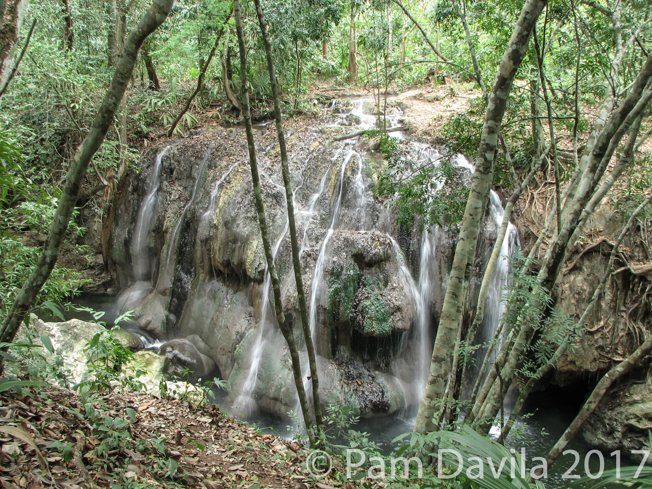 High view - Finca El Paraiso Waterfall