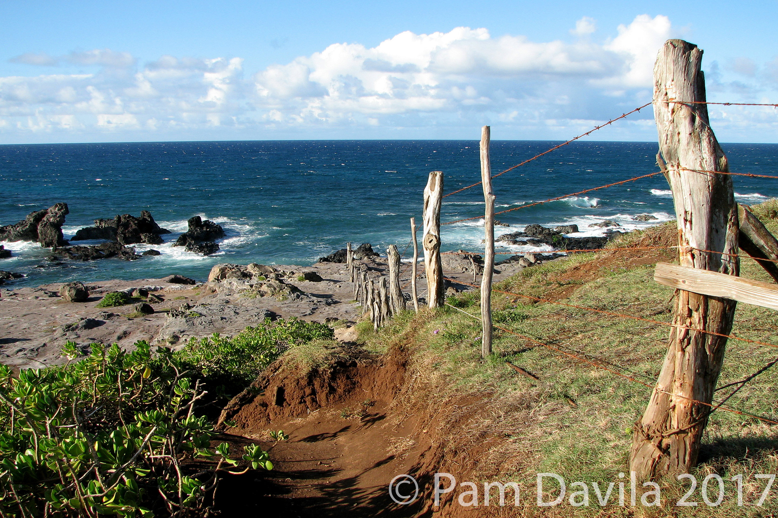 Ho'okipa Beach Park