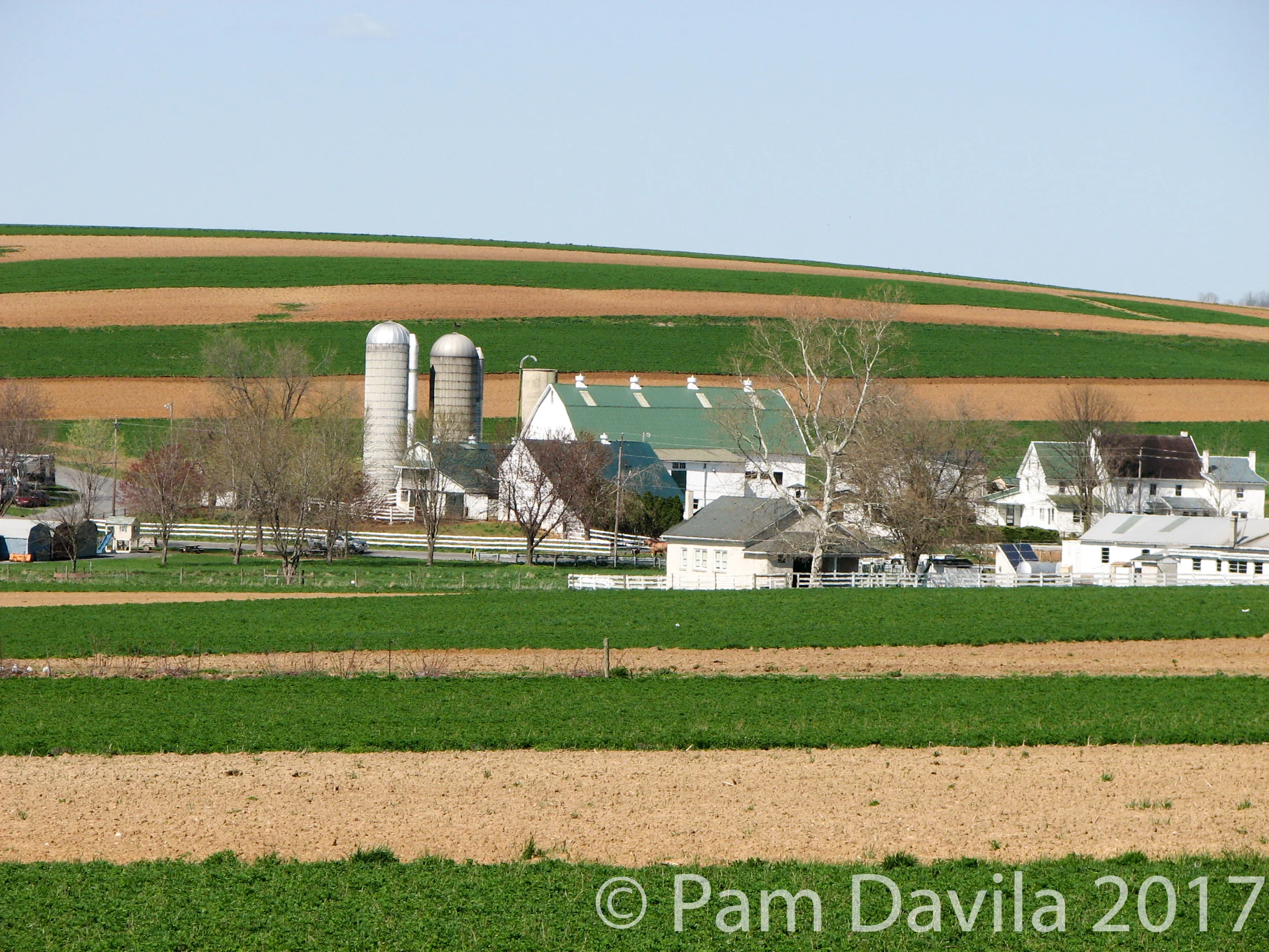 Amish farmstead