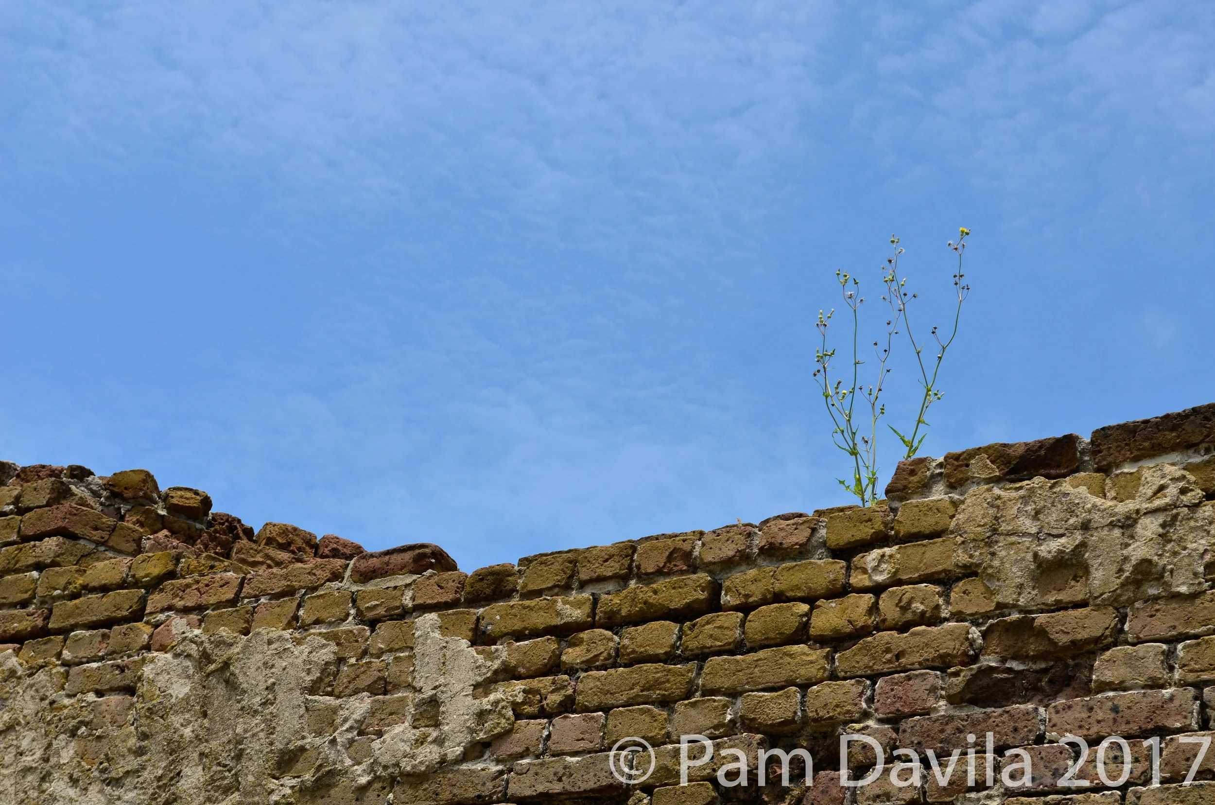 Fort Sumter wall