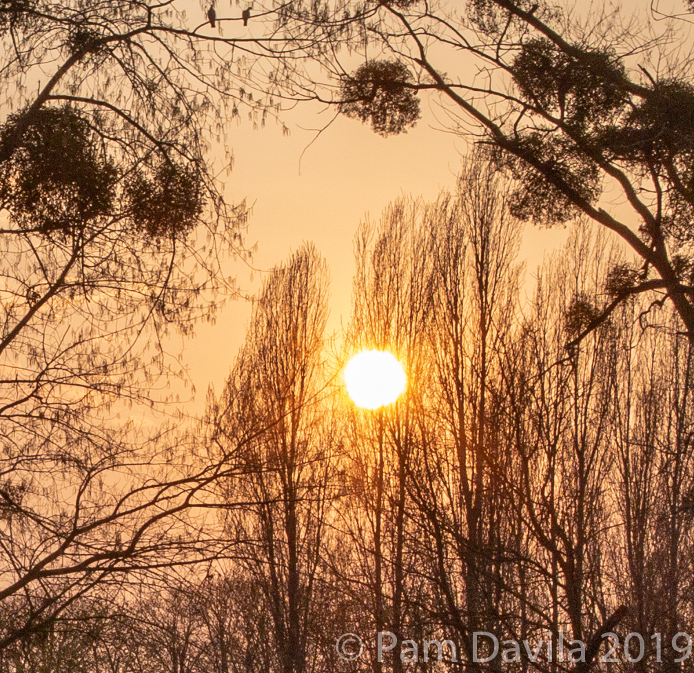  Sunset on the Seine 3 