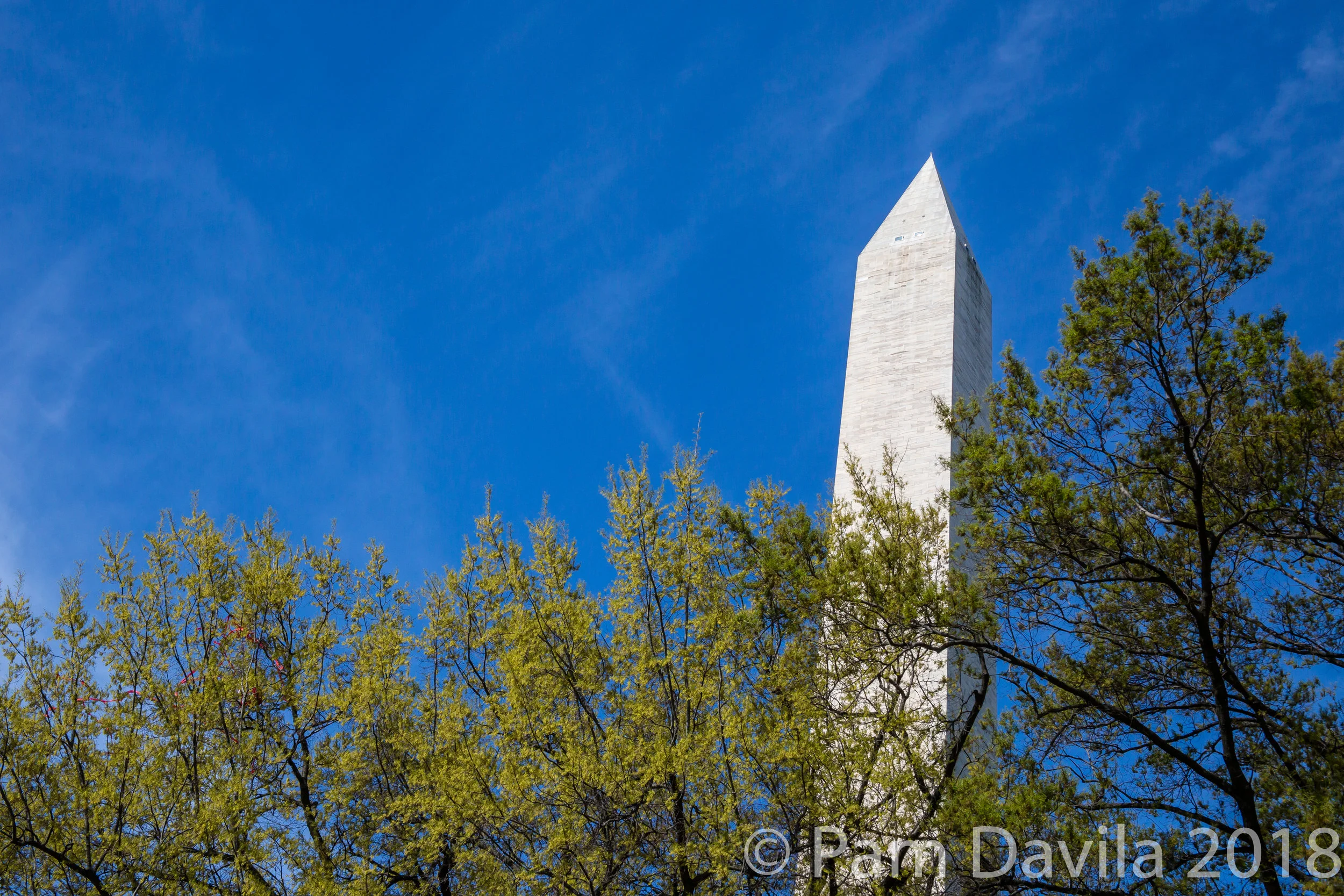  Washington Monument April 2018 