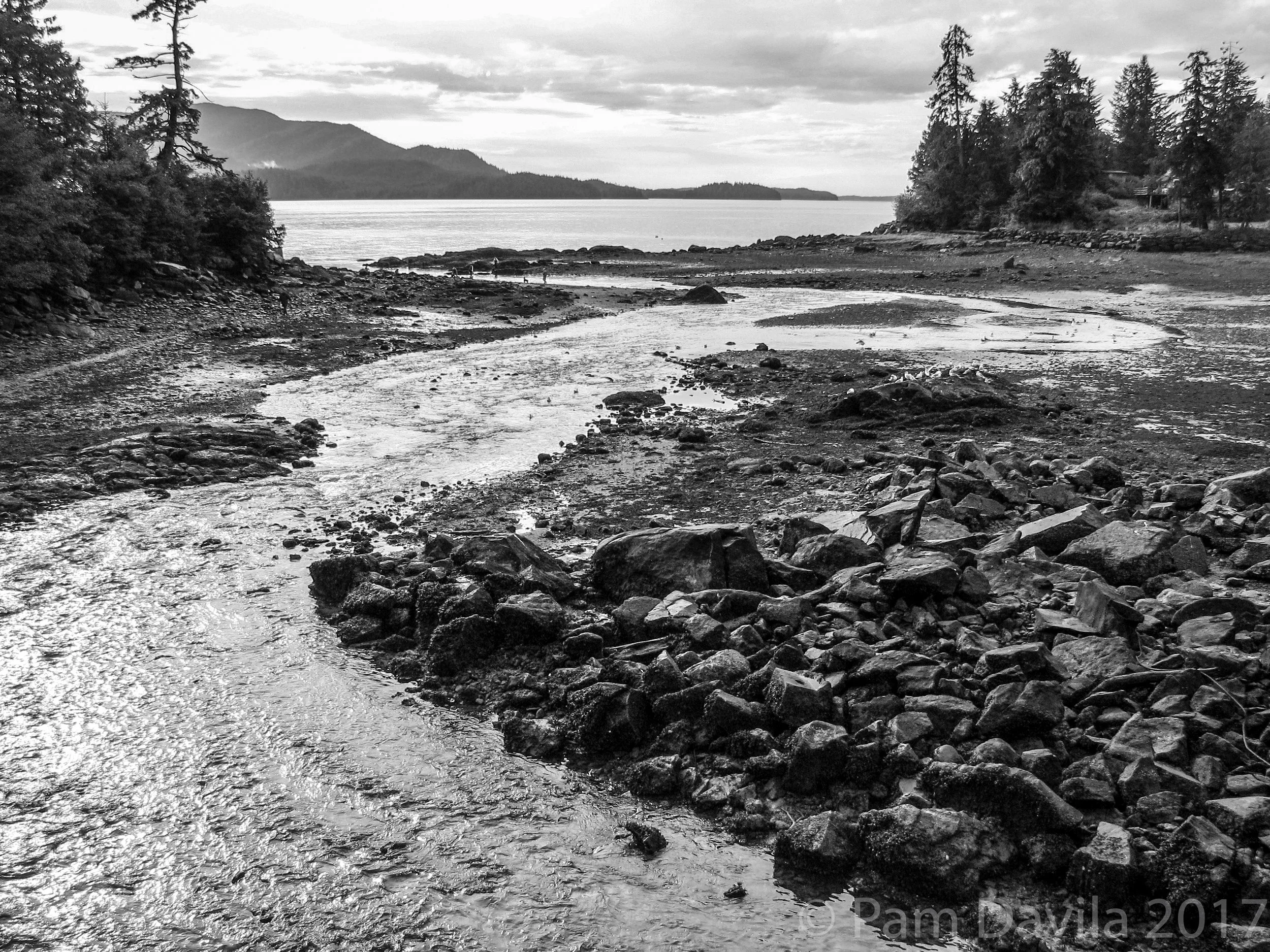 Low tide at Herring Cove