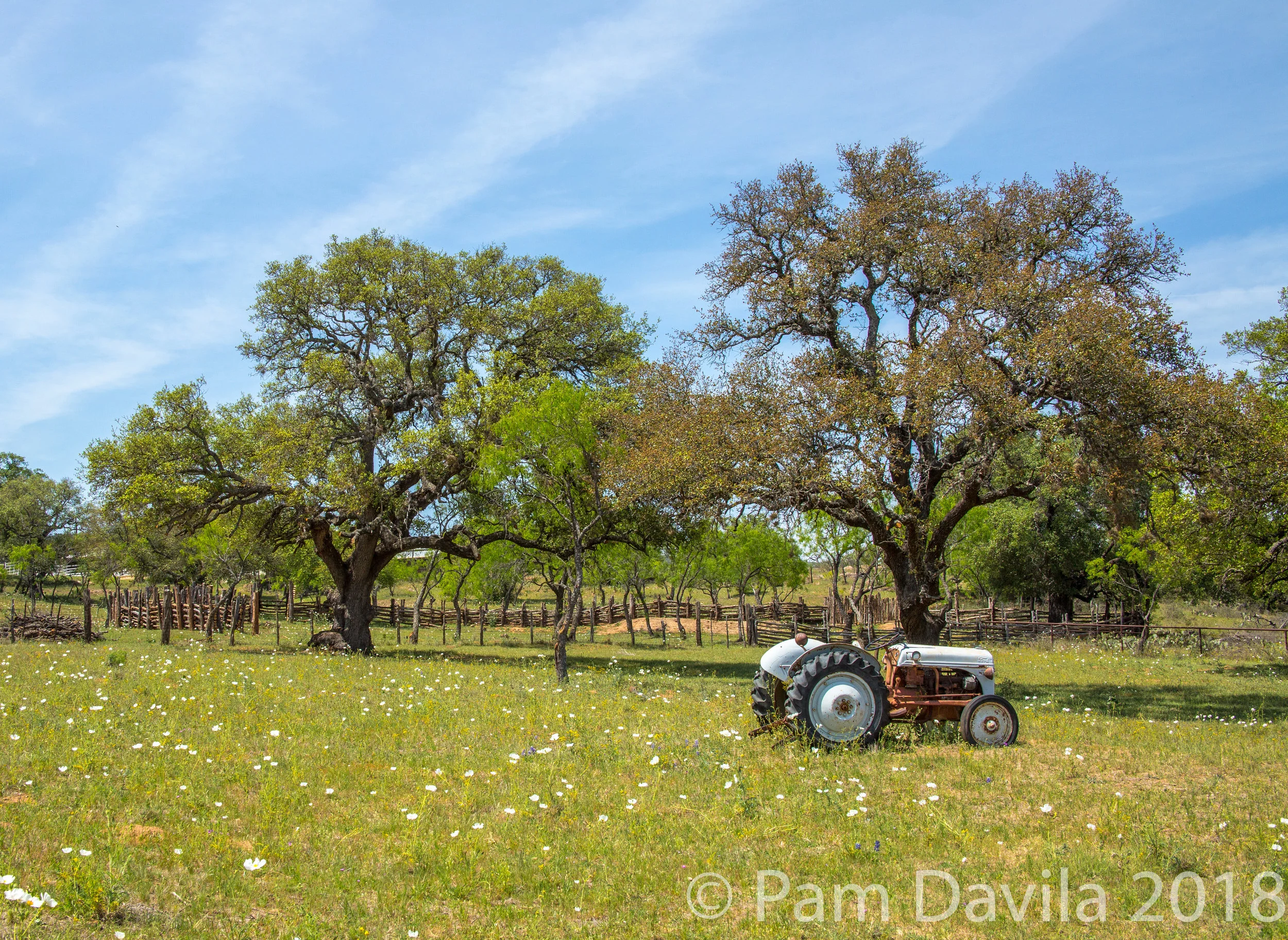 Tractor in the field