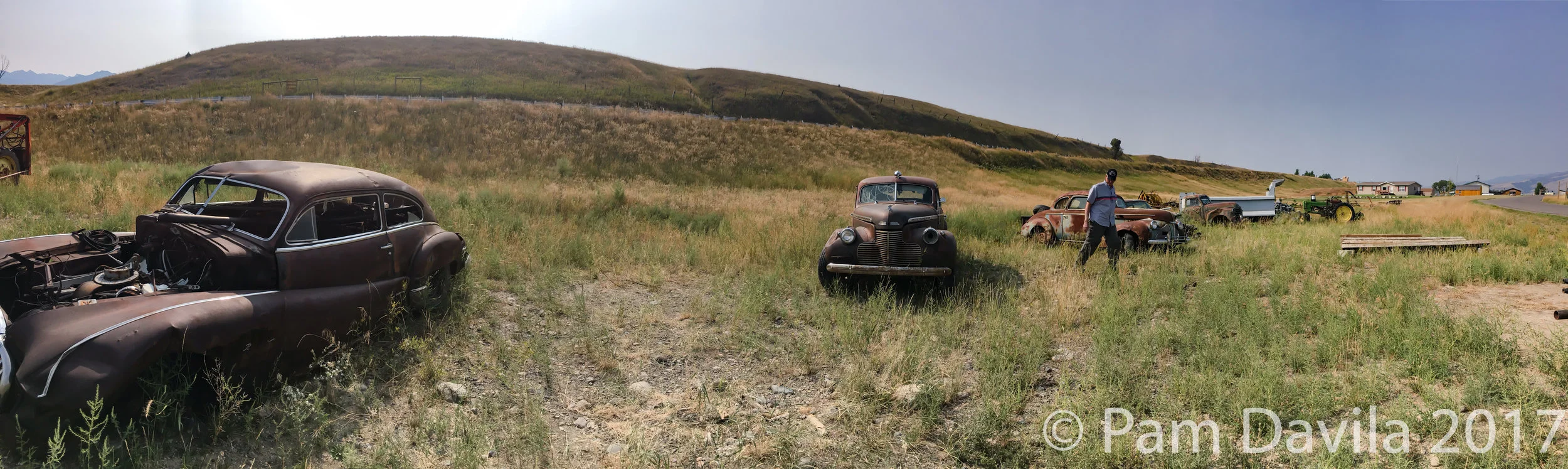 Antique car graveyard