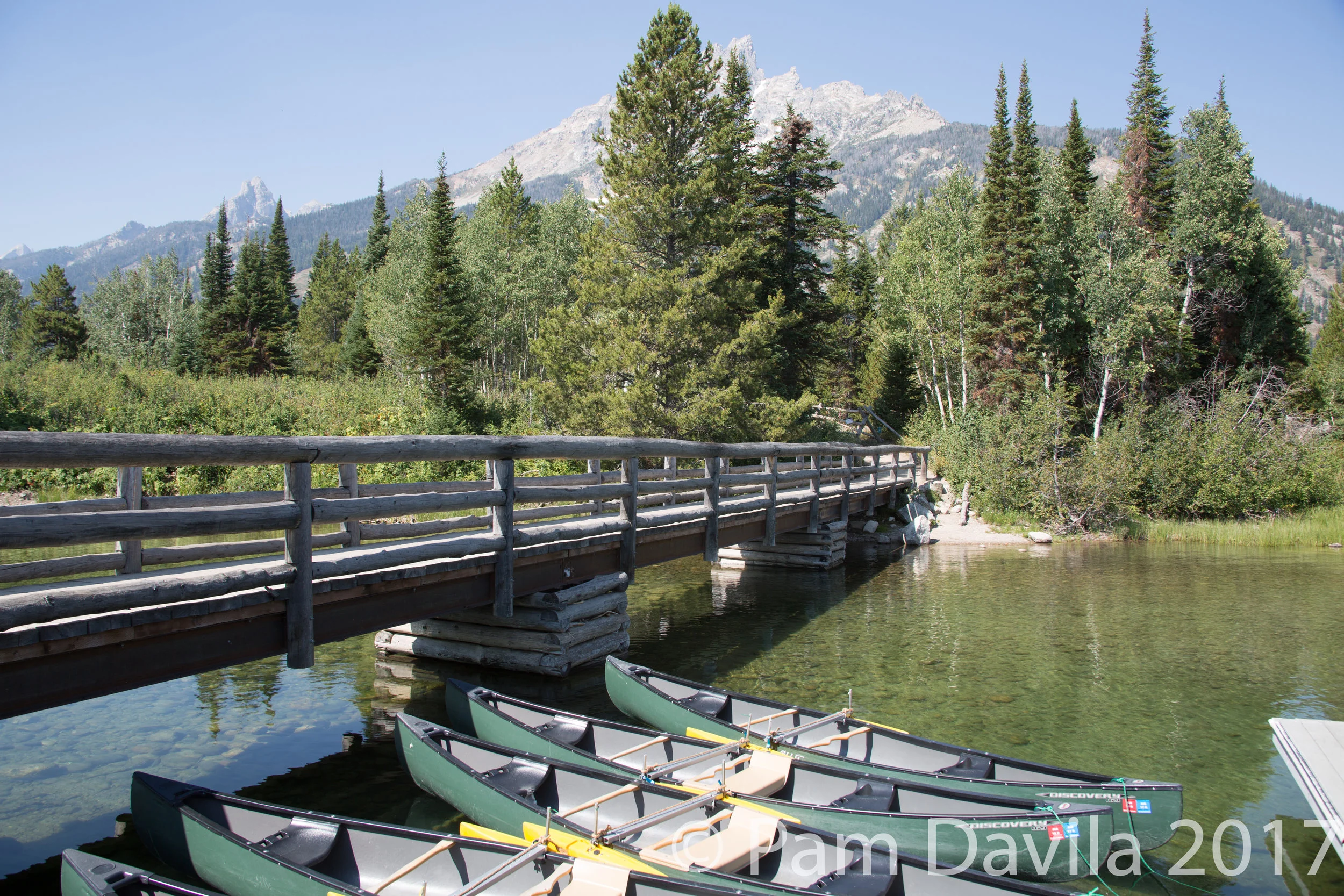 the bridge over the pond