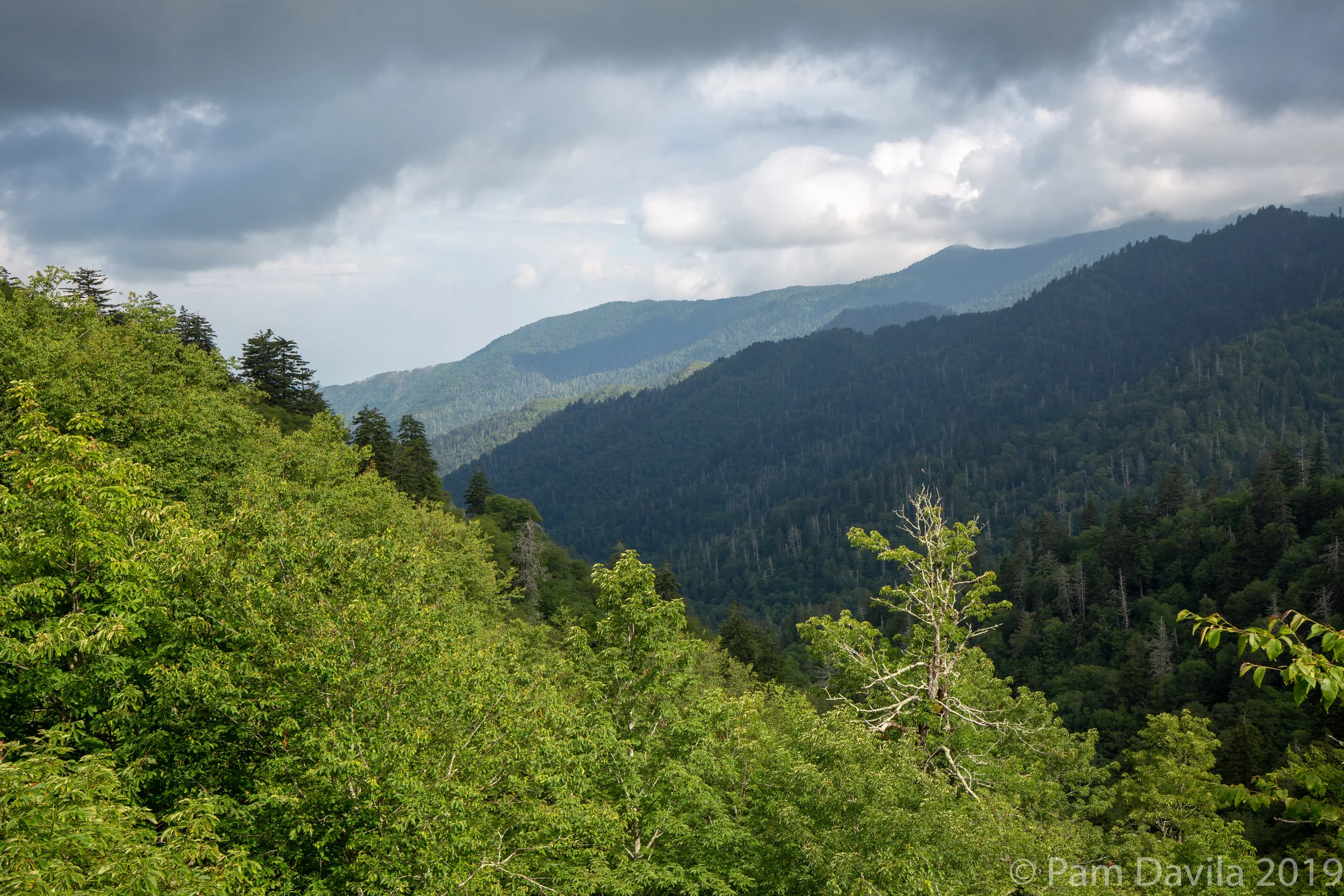 Great Smoky Mountains National Park