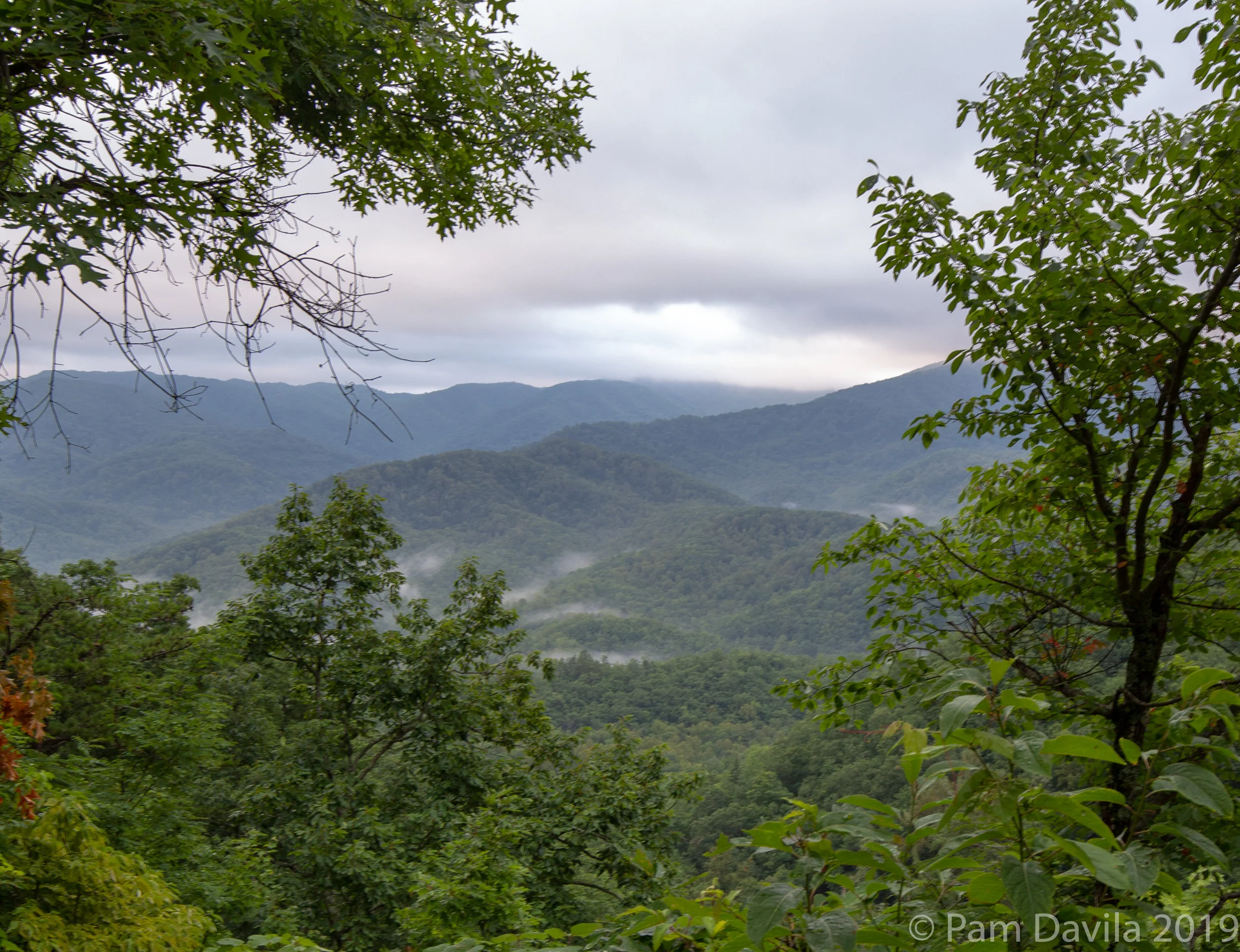 On the trail to Laurel Falls