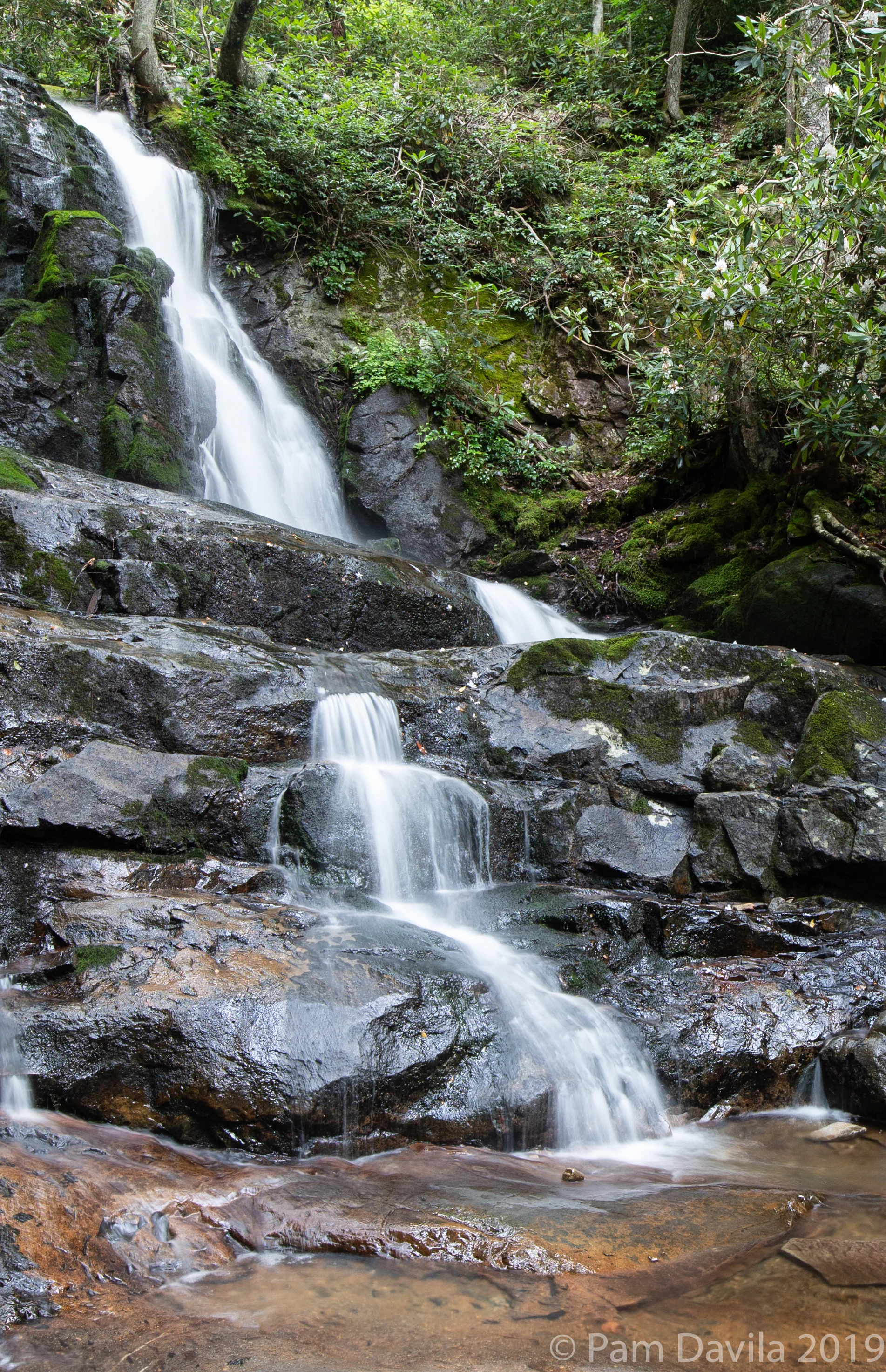 Laurel Falls upper