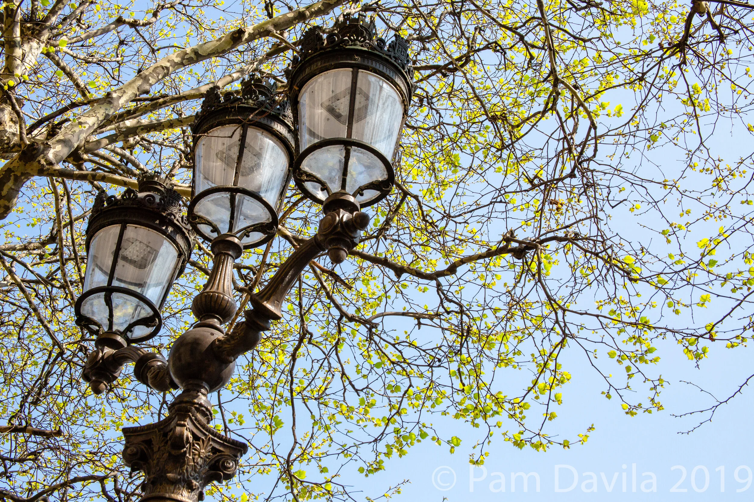 Spring in Paris 2