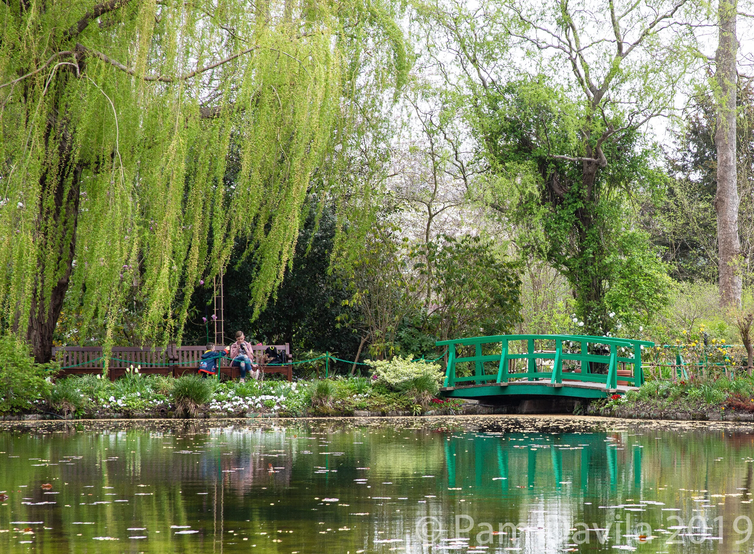 Bridge over the Pond