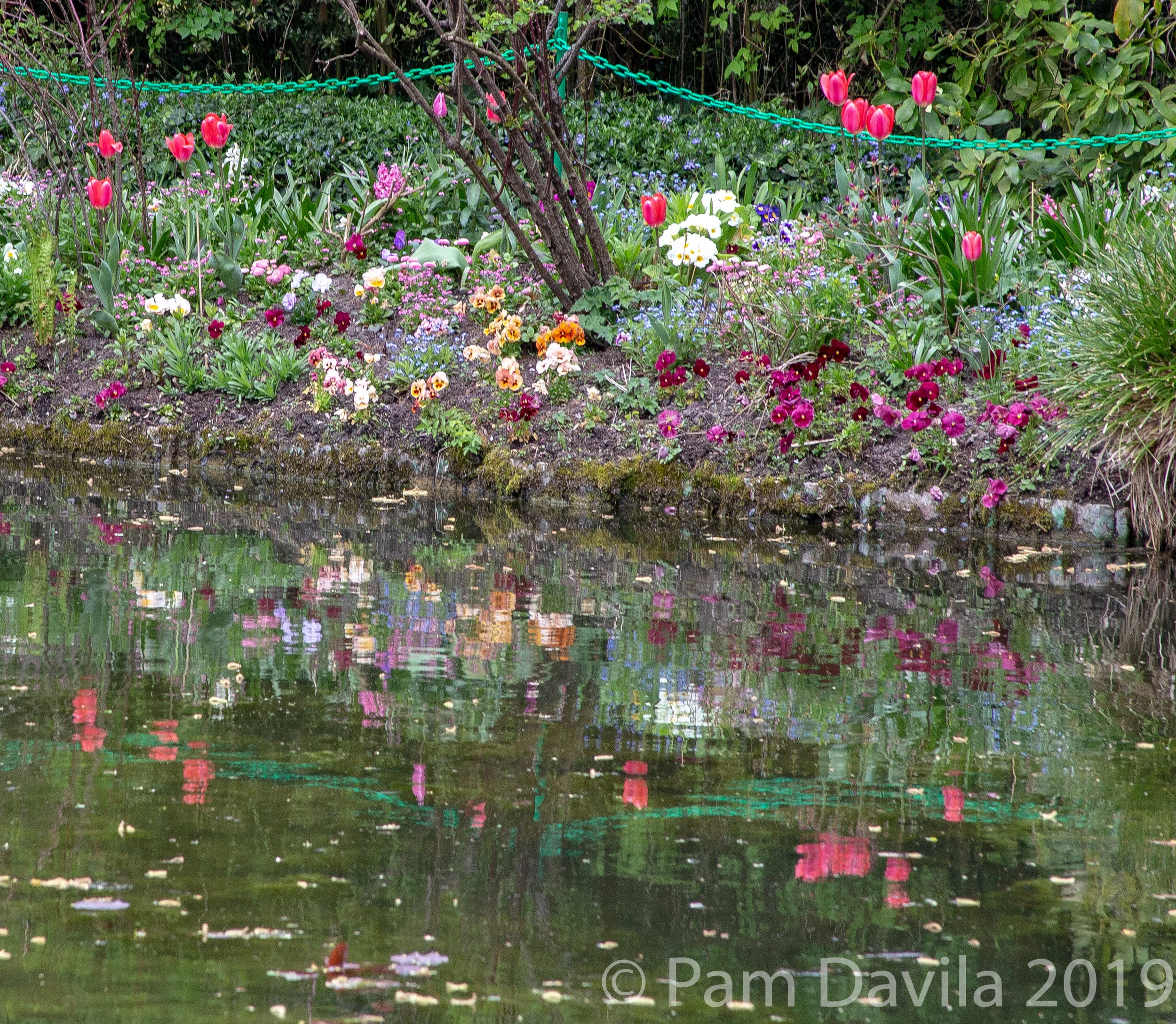 Impressionistic reflections of flowers in the pond