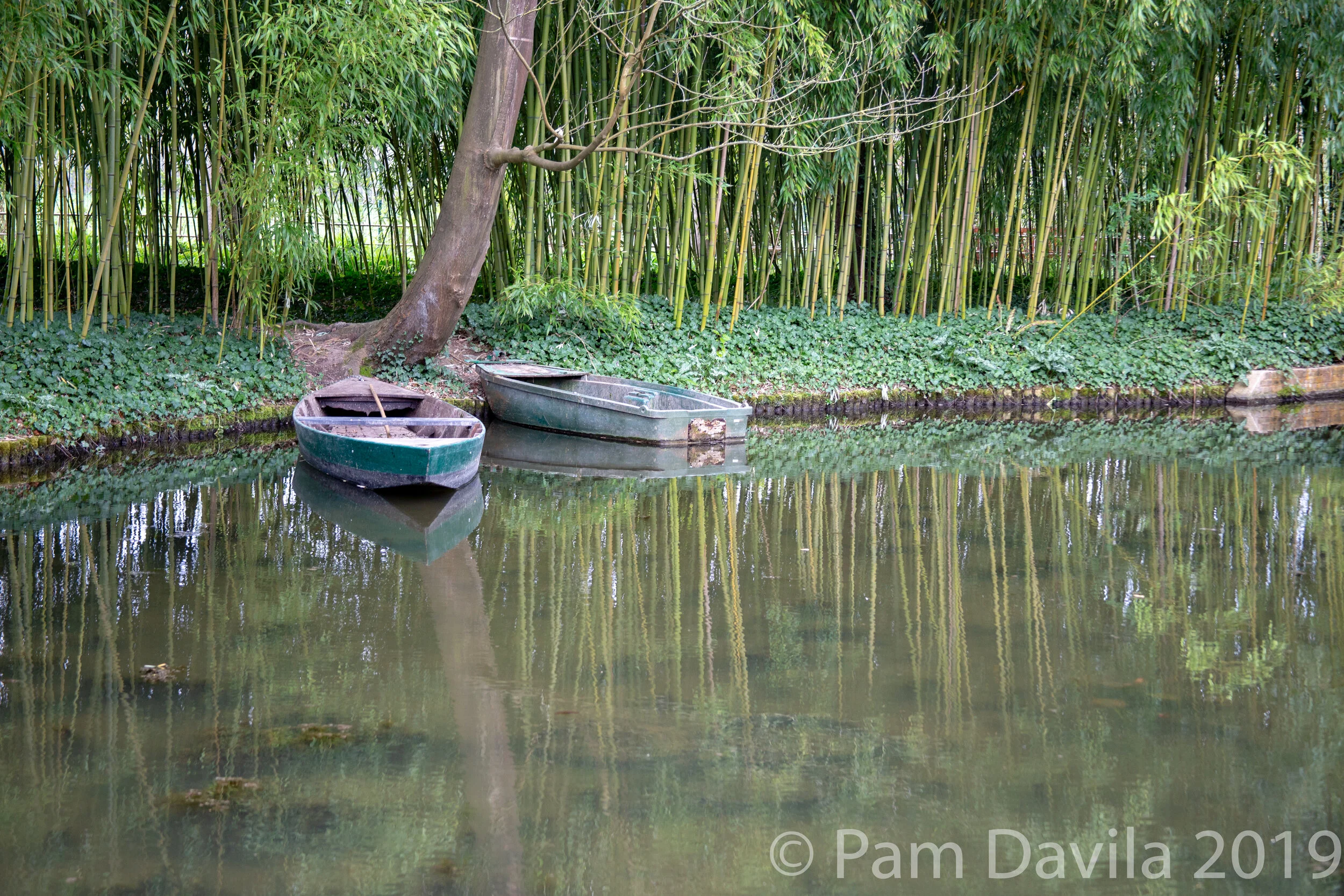 Boats on the pond