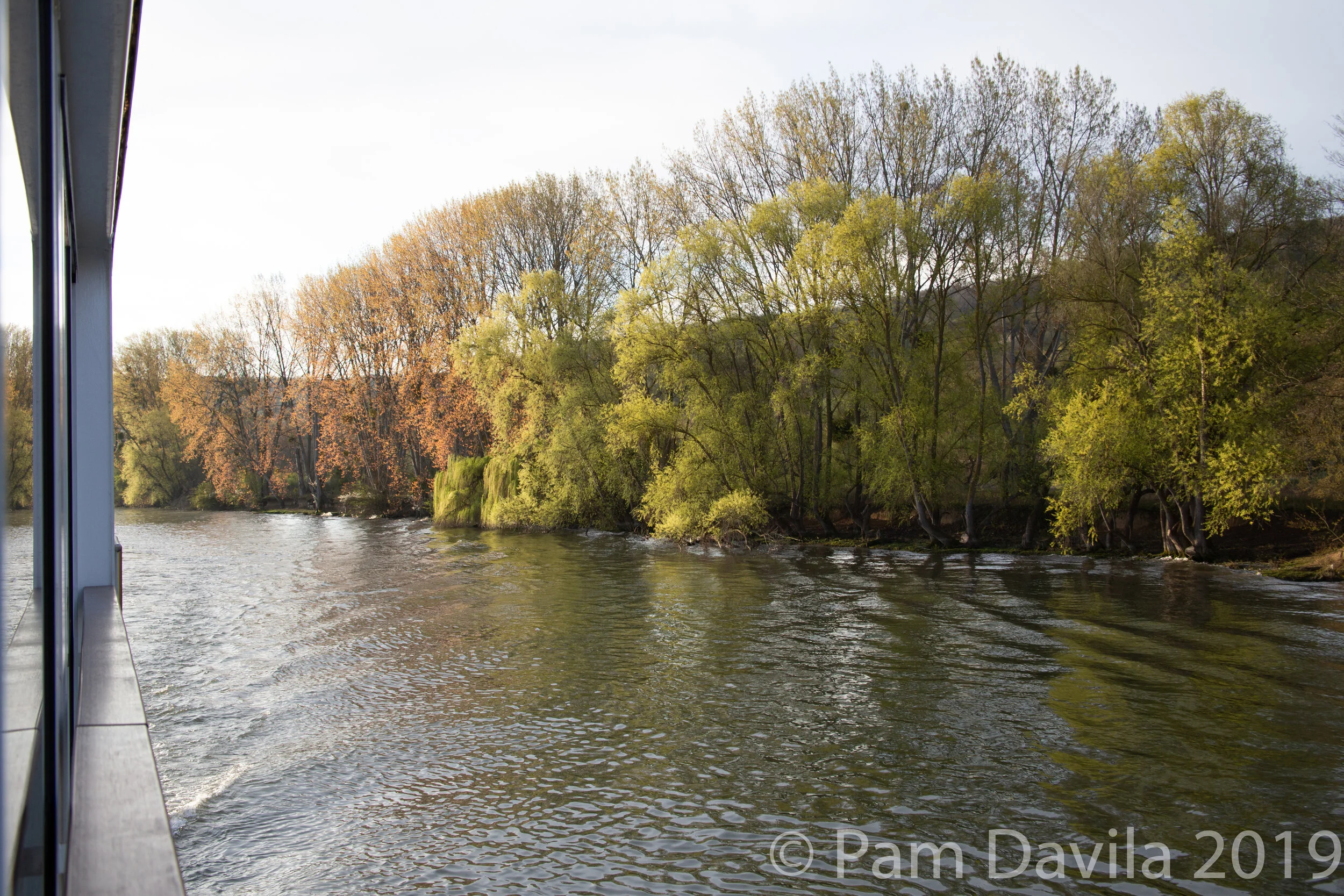 Golden hour on the river 4