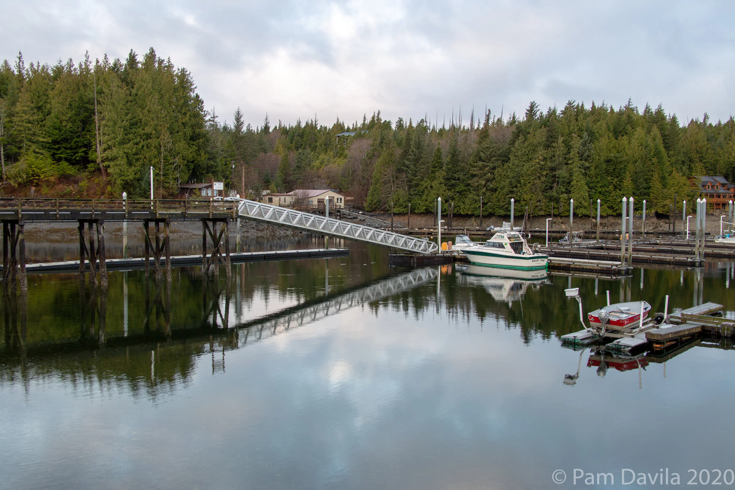 Knudson Cove Marina