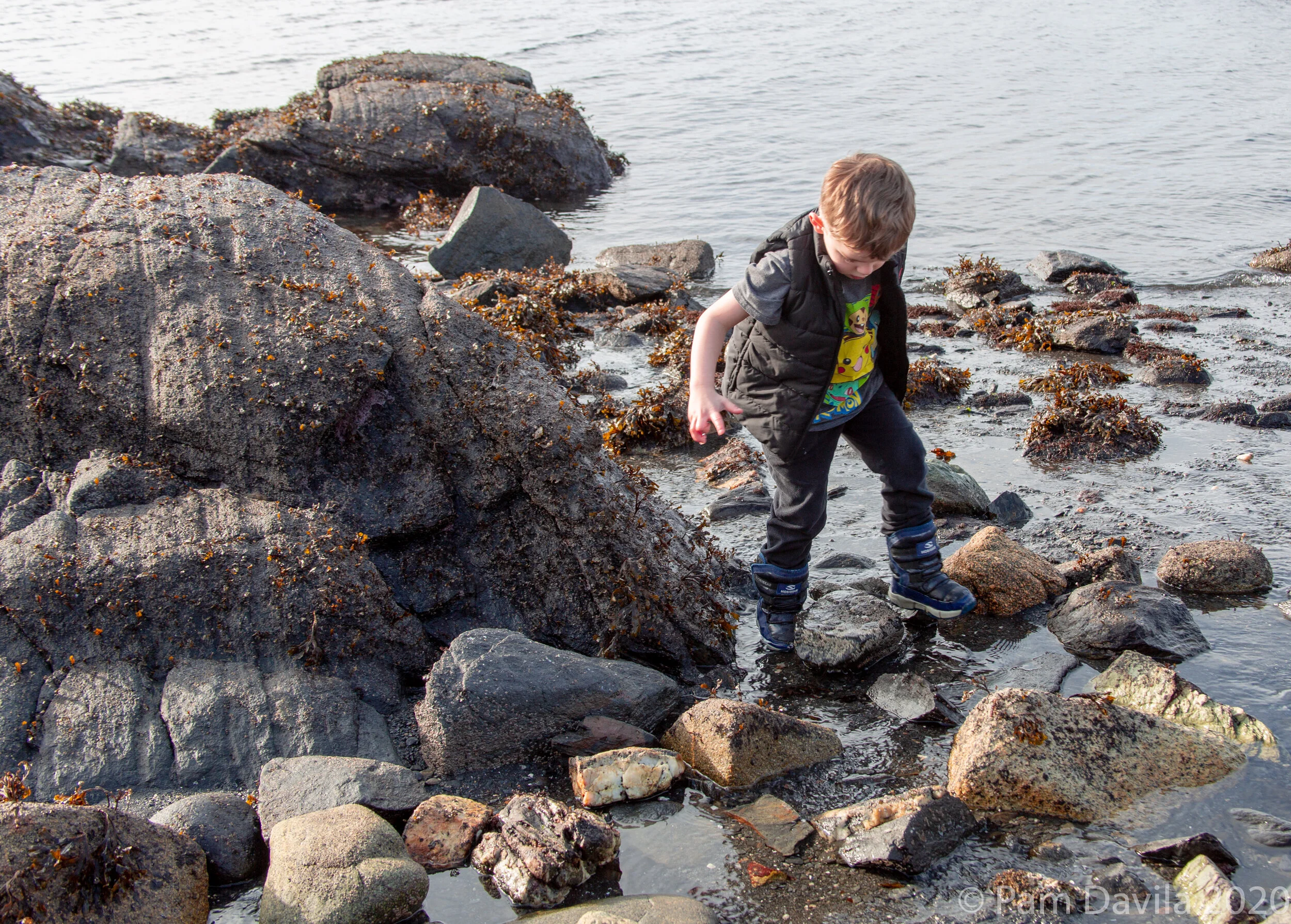 South Point Higgins Beach