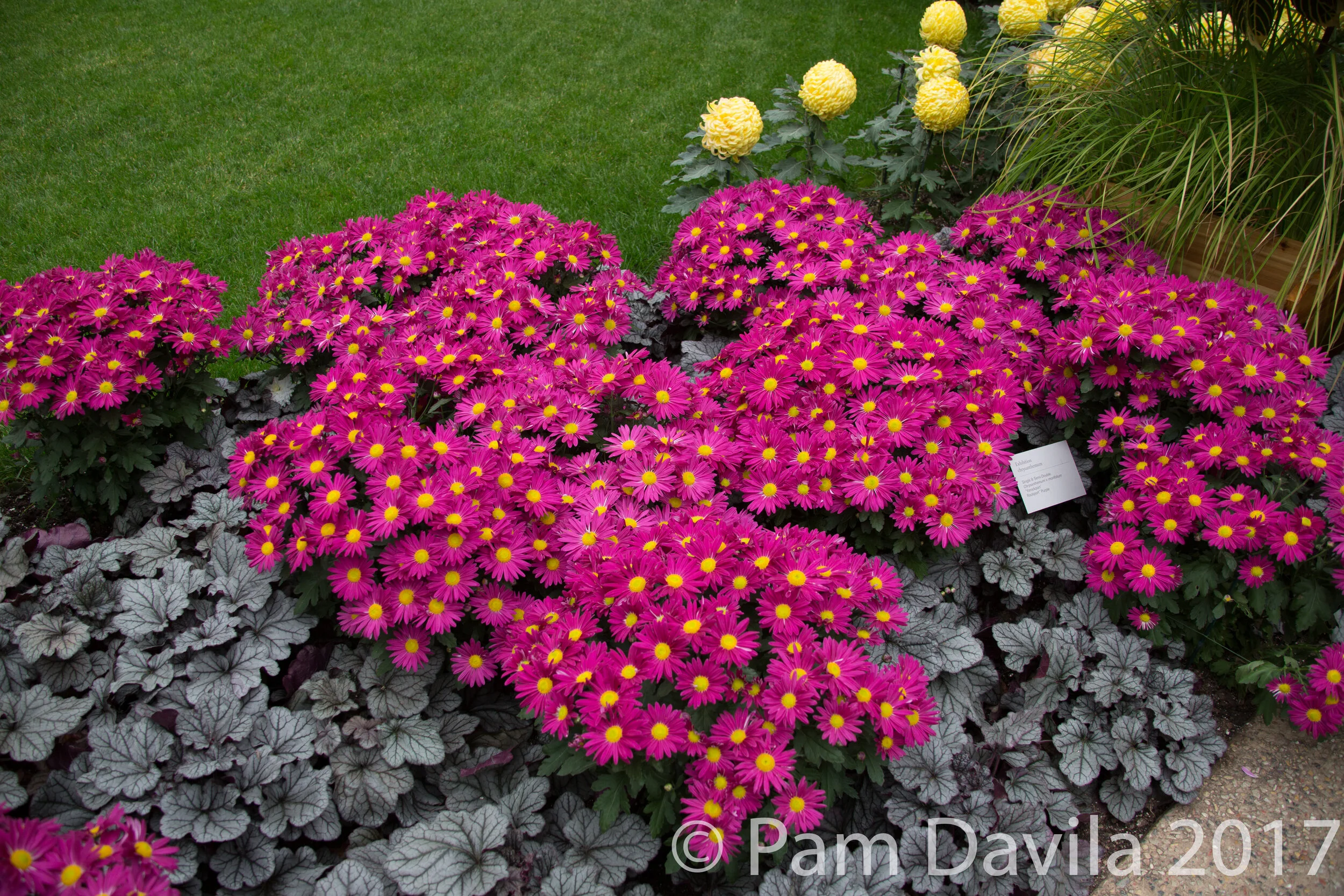  Longwood Gardens, Kennett Square, PA - 2017 