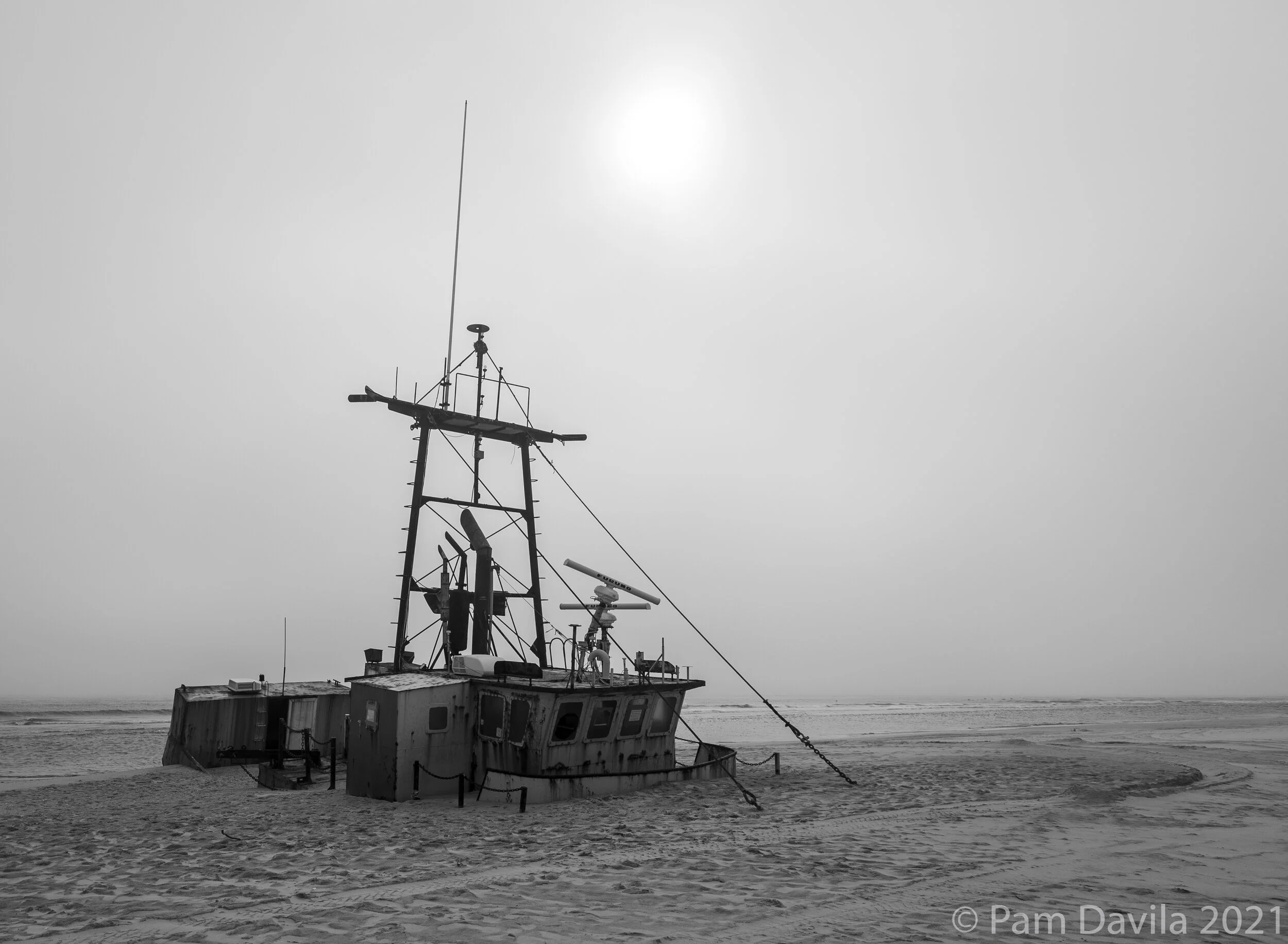 Morning sun on Ocean Pursuit