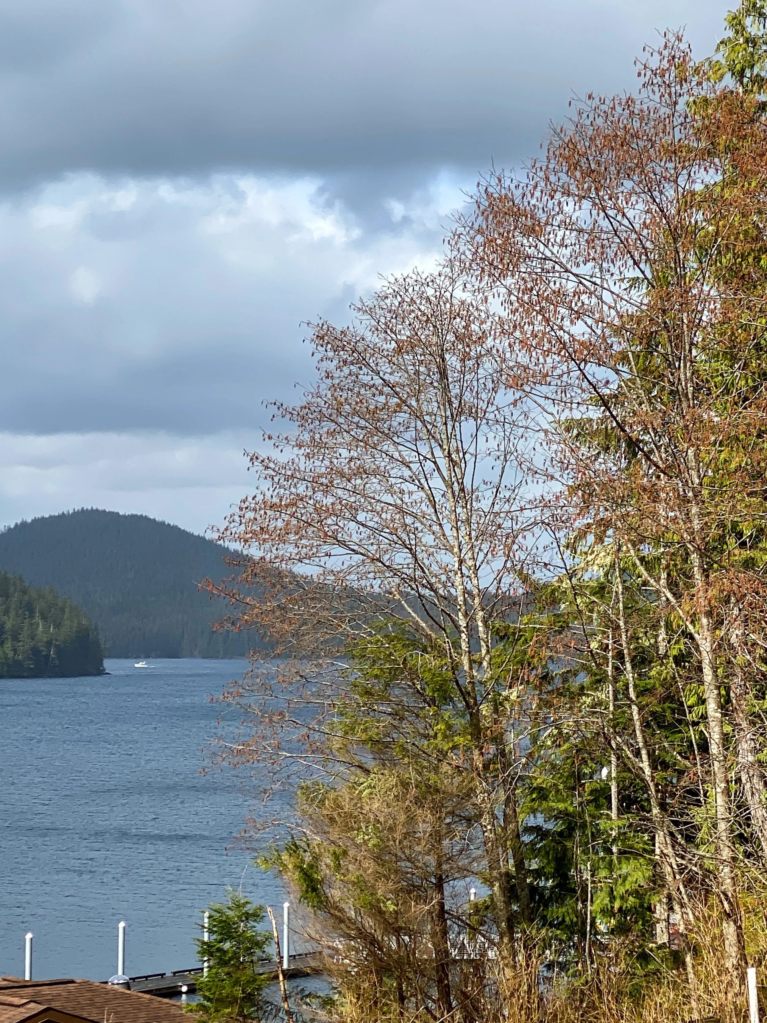 Knudson Cove