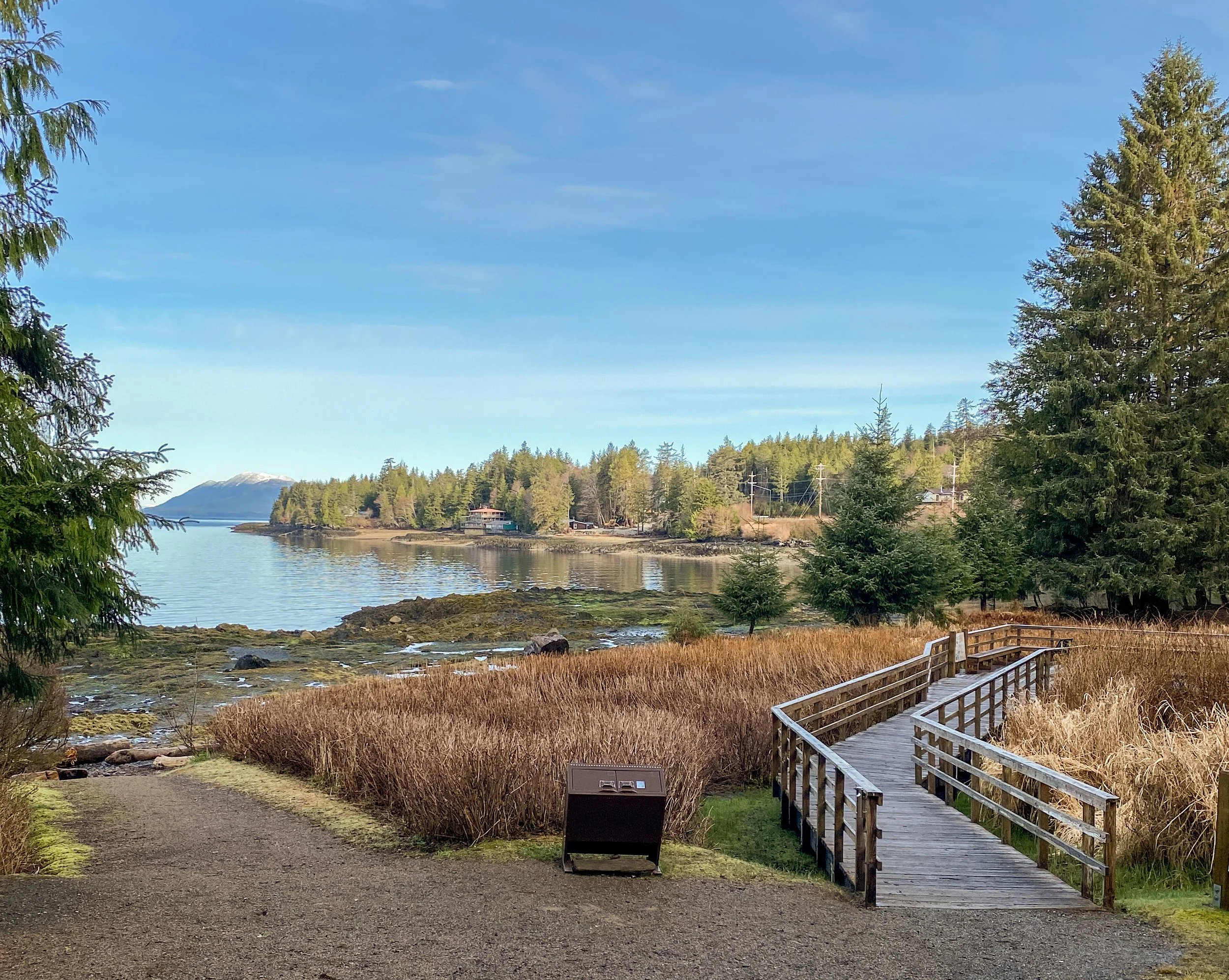 View toward the ocean from Totem Bight