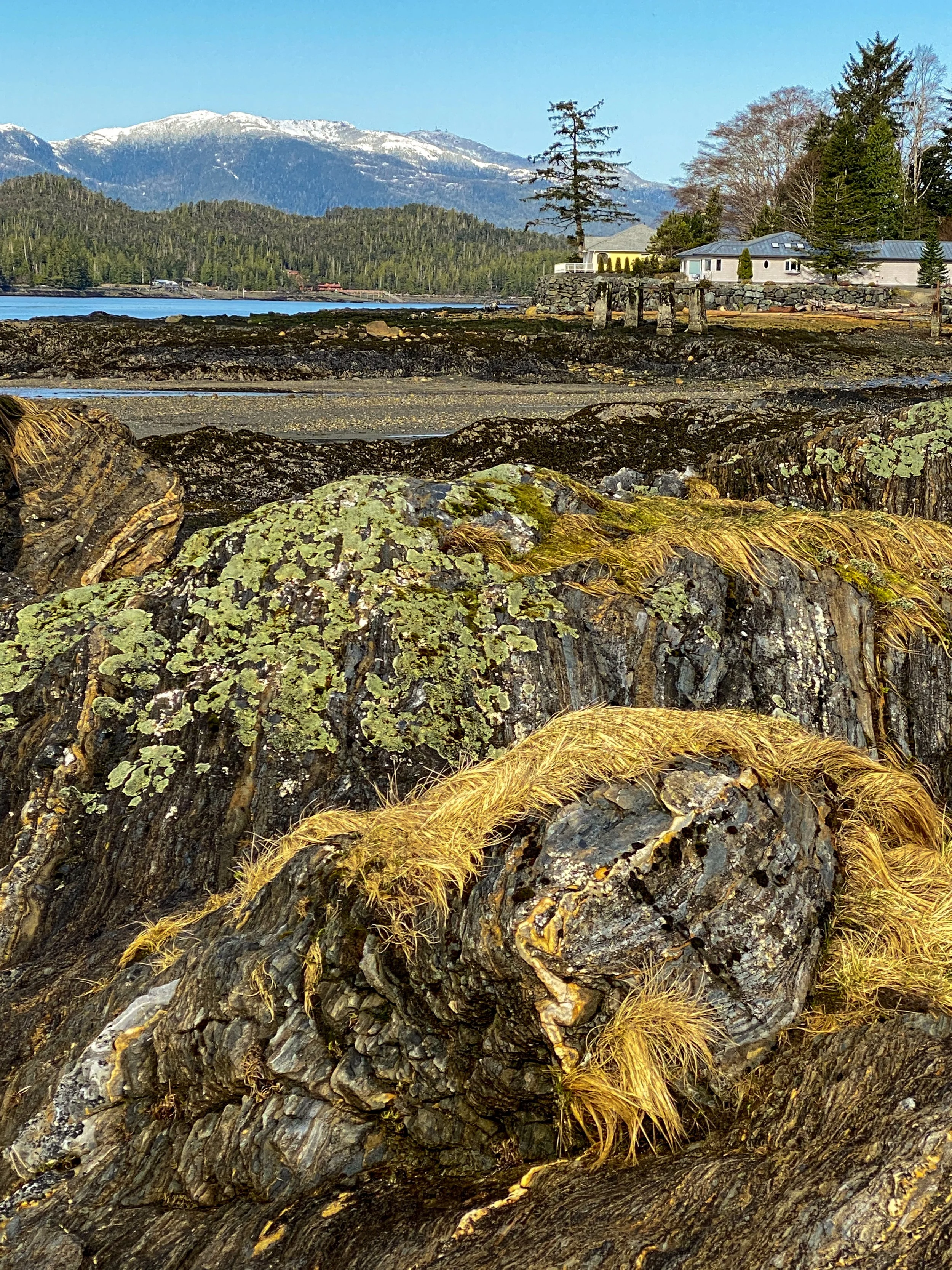 Seascape at Rotary Beach