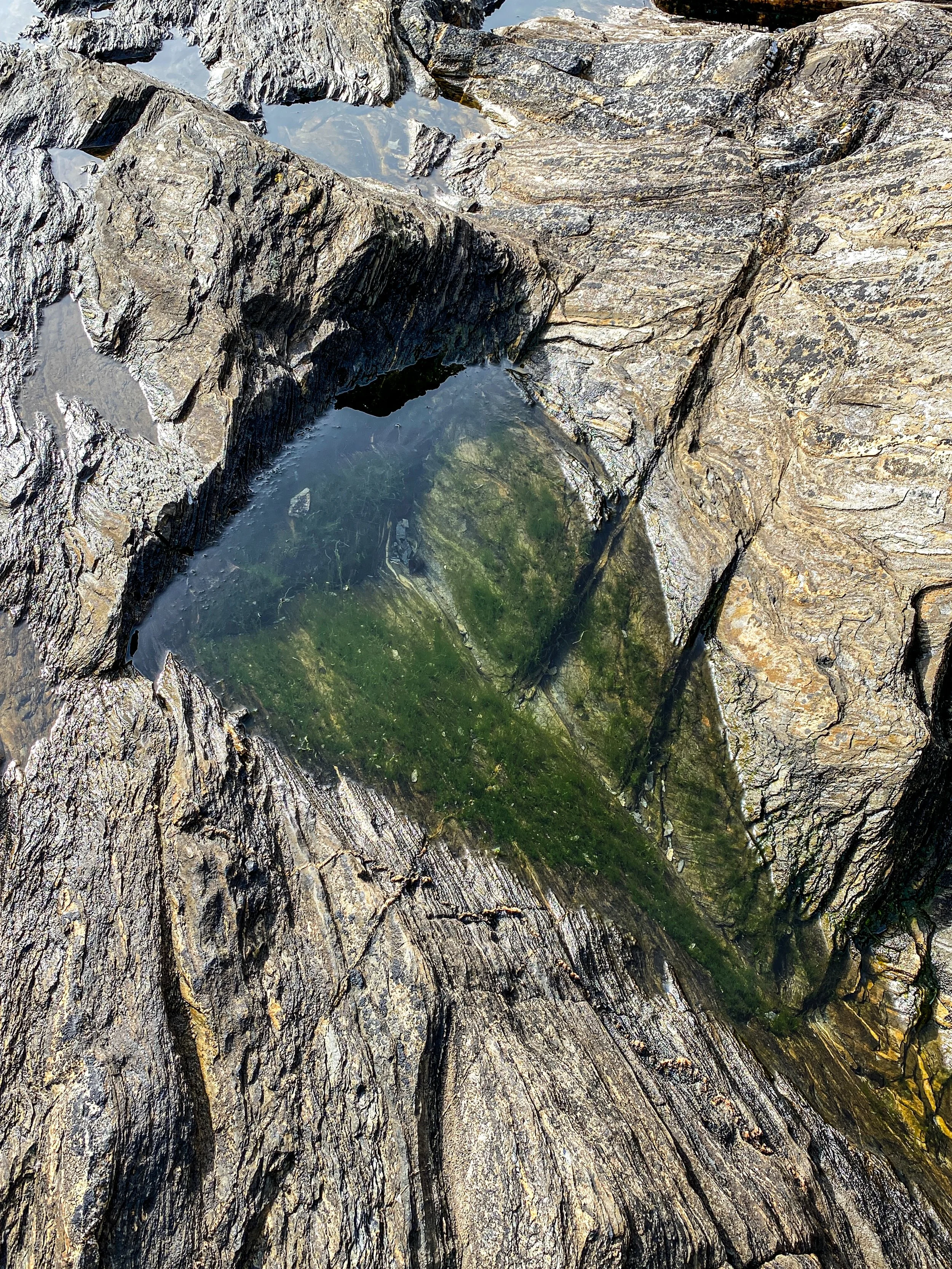 Tidepools and rock detail