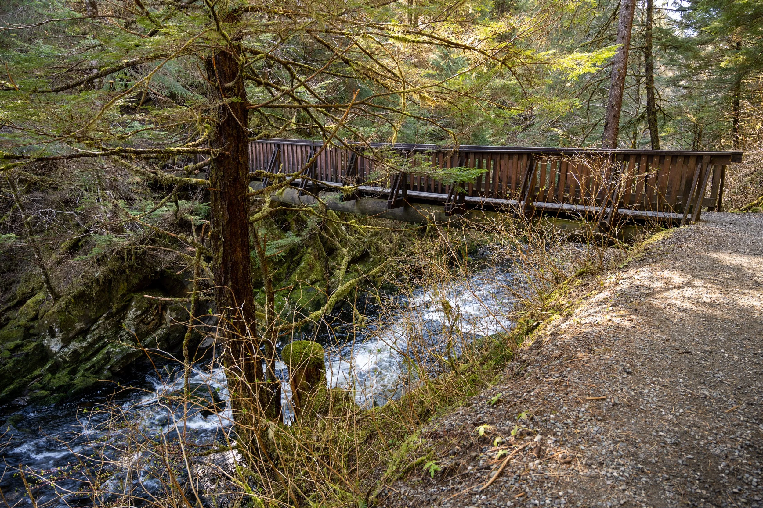 Bridge over the creek