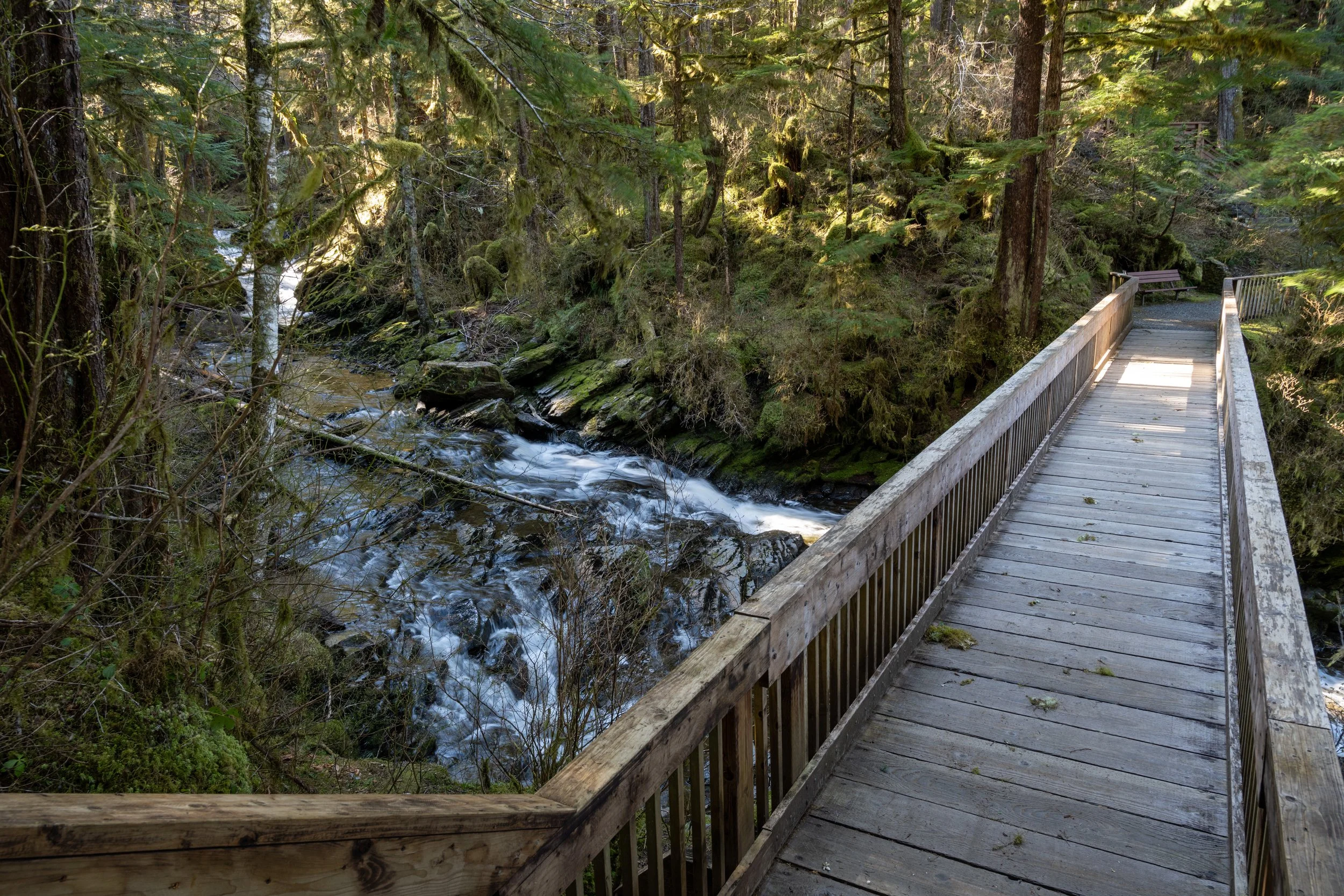 Settler's Cove State Park, Lunch Falls Observation Bridge