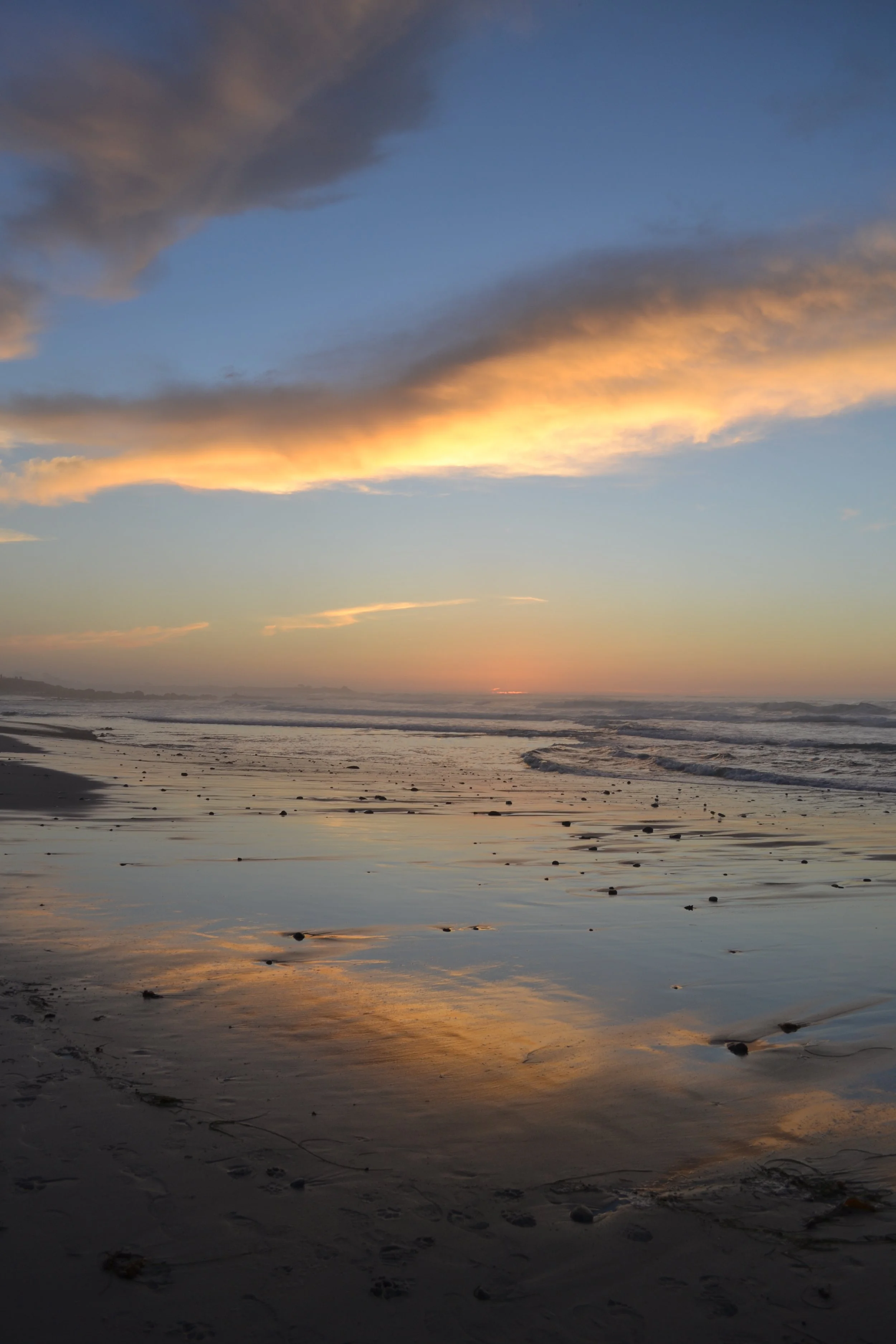 DSC_5651.jpg