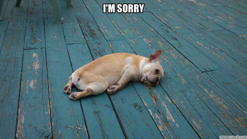 imsorry.jpg