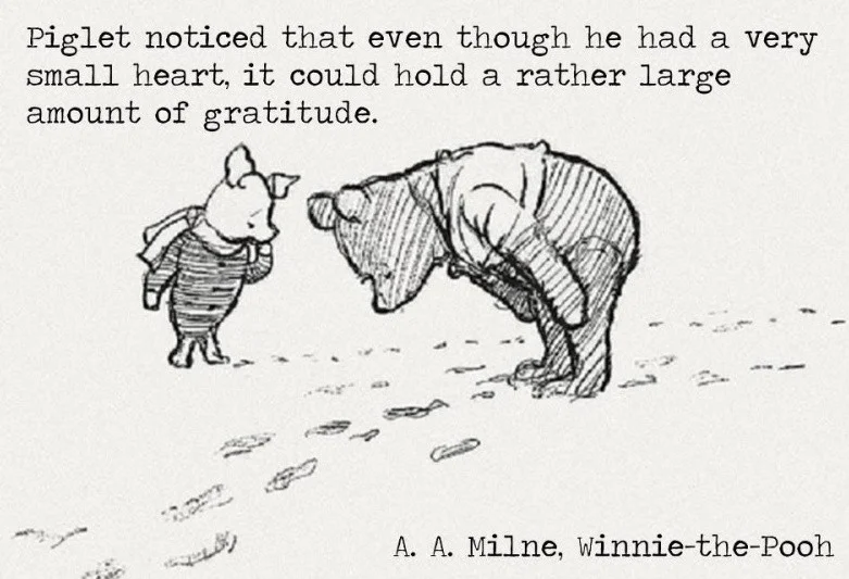 piglet.jpg