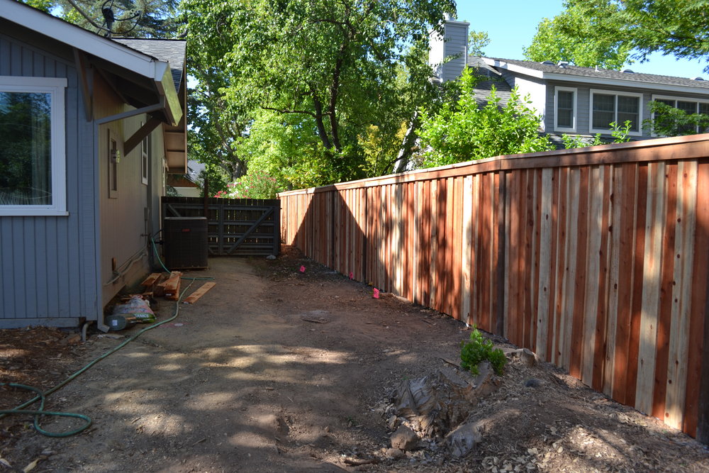 sideyard1.jpg