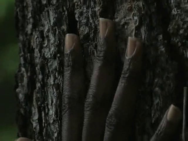  Somnus "Sunflower" by Allen Cordell (featuring "Condensor" by Vorhees 