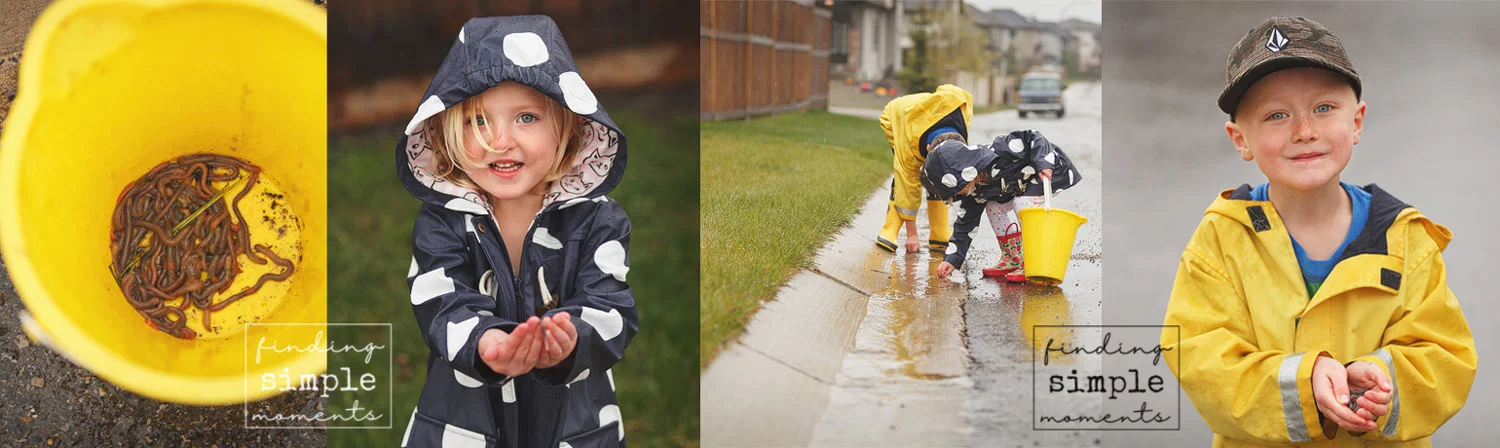 A few snippets from Annual Worm Rescue Day 2015