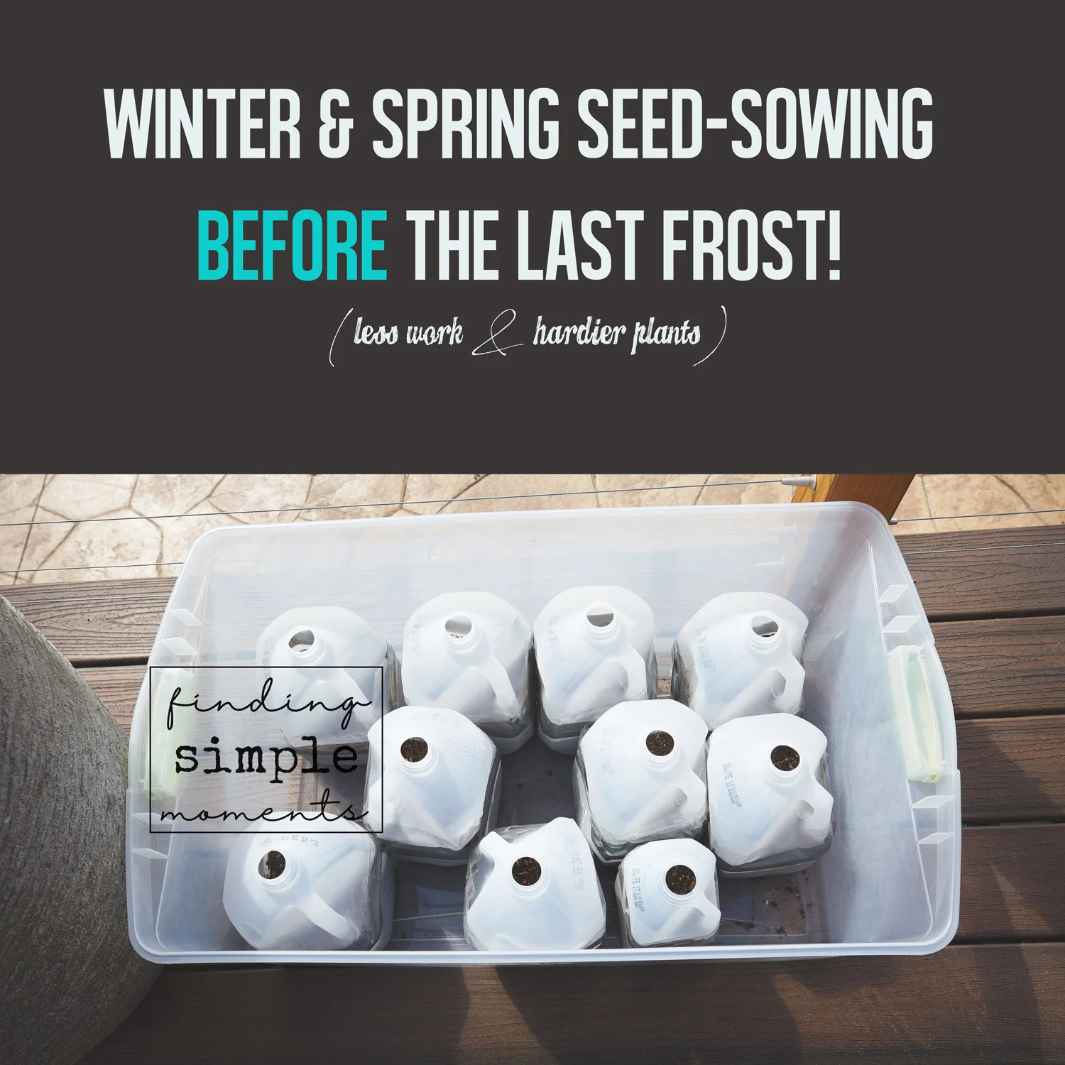 Winter-Seed-Sowing-(9).jpg
