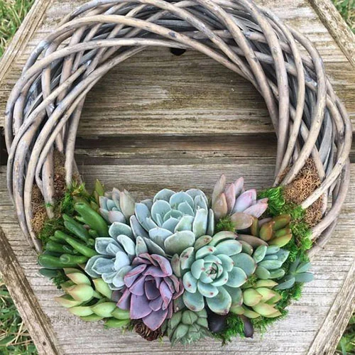 Succulent Wreath inspiration form Women’s Day Magazine