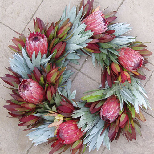 Ice Protea Wreath available from sale from Wild Ridge Organics