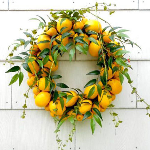 Summer Fruit Wreath available for purchase from DeLaFleur