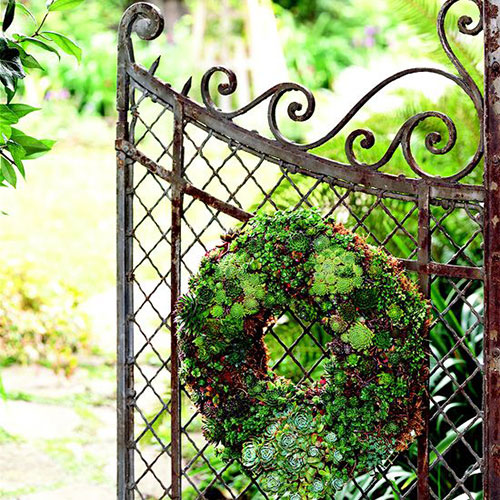 Living Wreath tutorial from Better Homes and Gardens