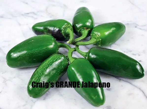 Craig's Grande Jalapeno.jpg