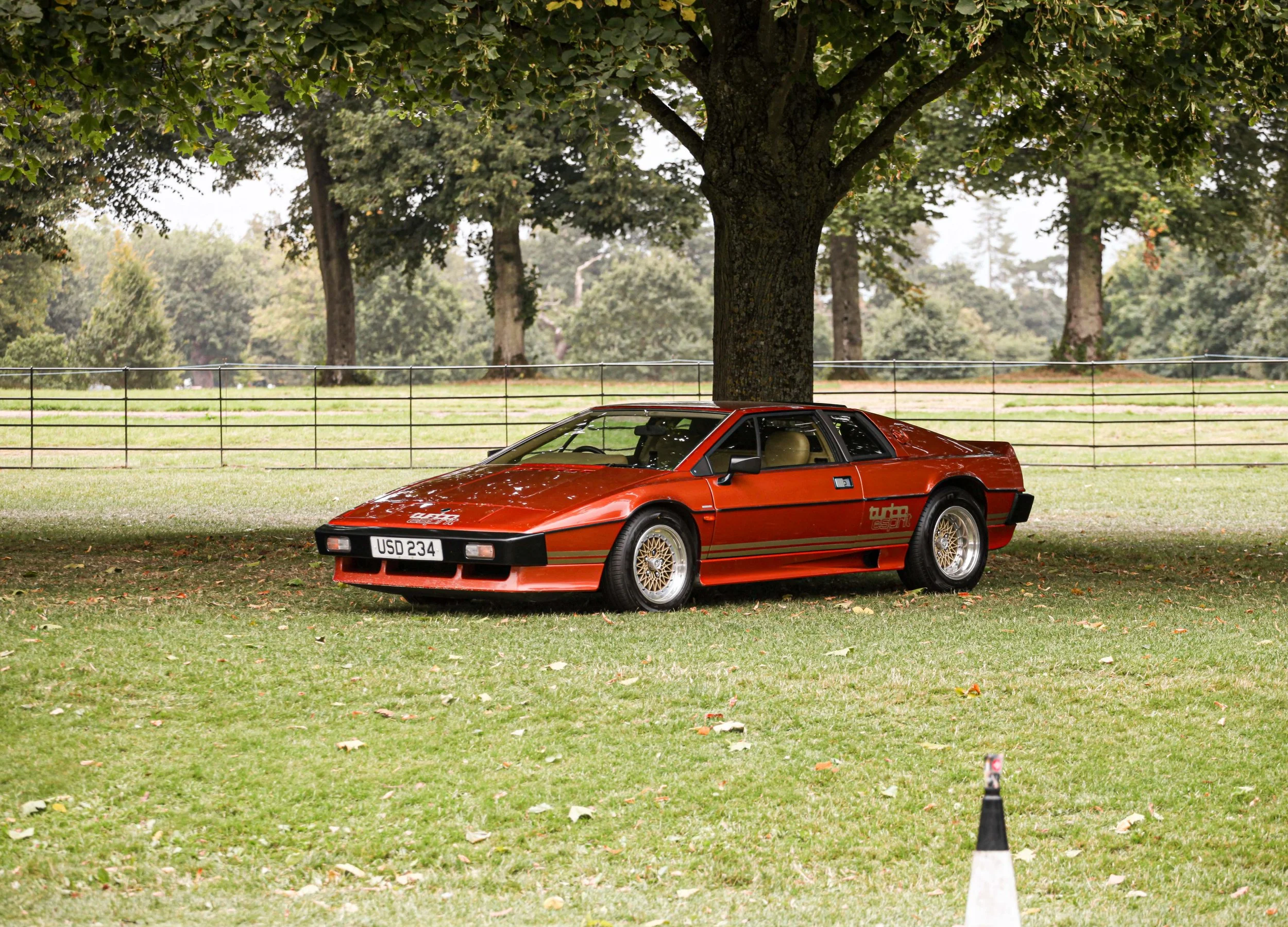 Crown Imagery @ Salon Prive 2024-1091.jpg (Copy)