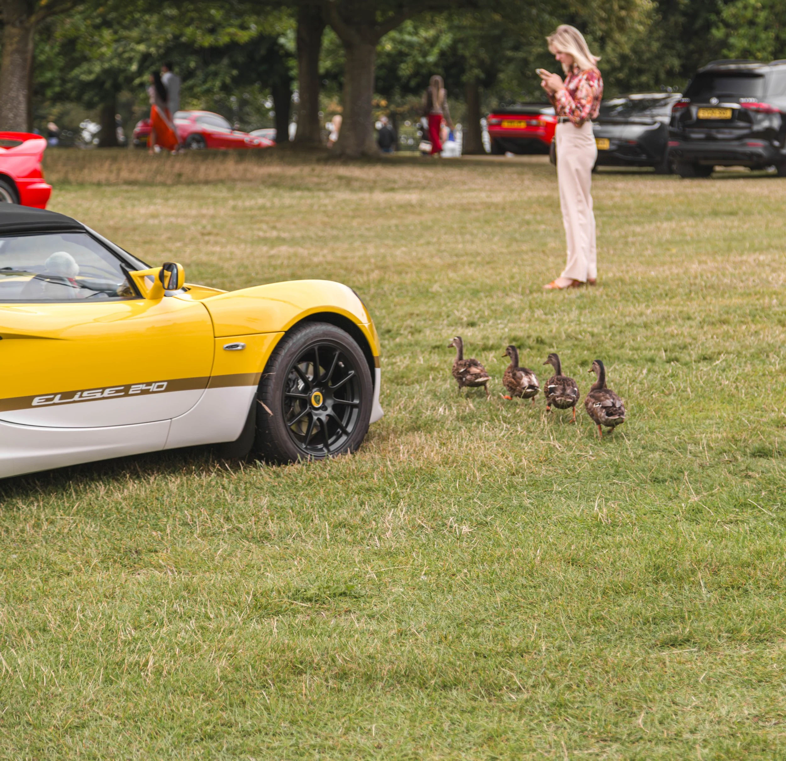 Crown Imagery @ Salon Prive 2024-974.jpg (Copy)