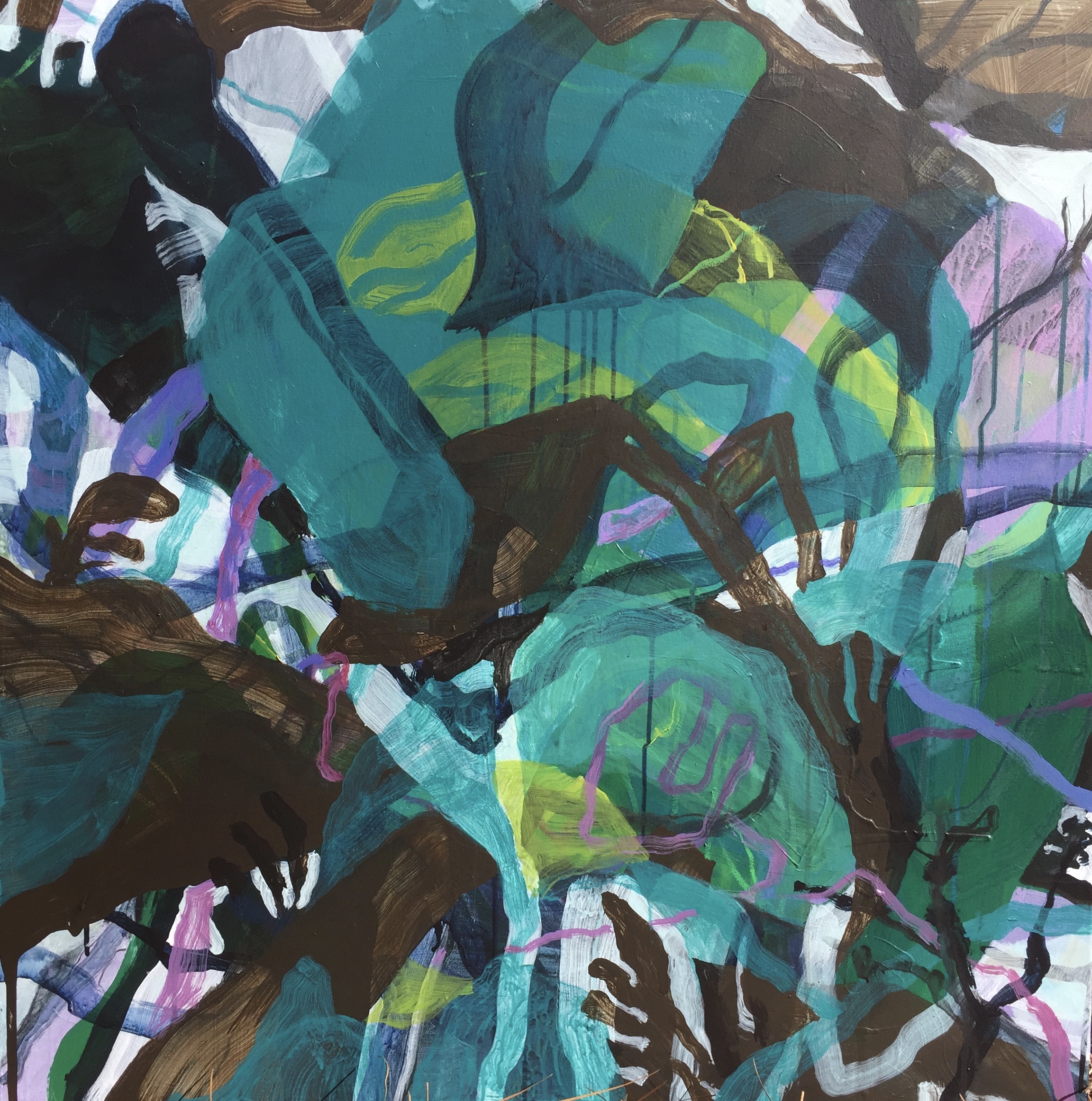 JUNGLE GROWTH B