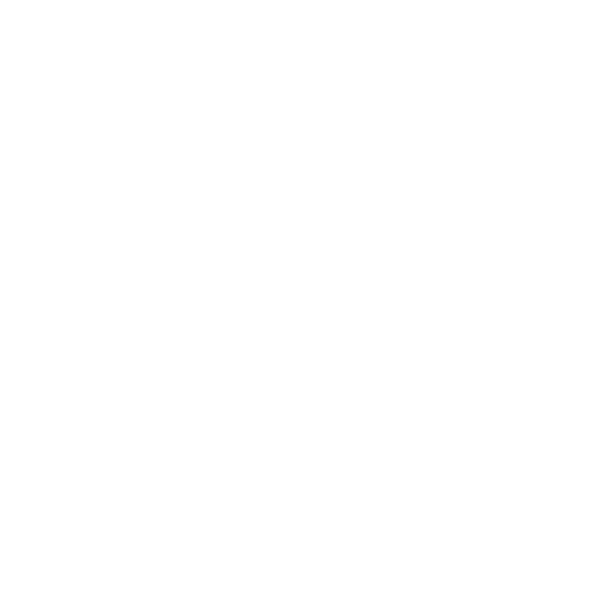BEST POSSIBLE SECURITY