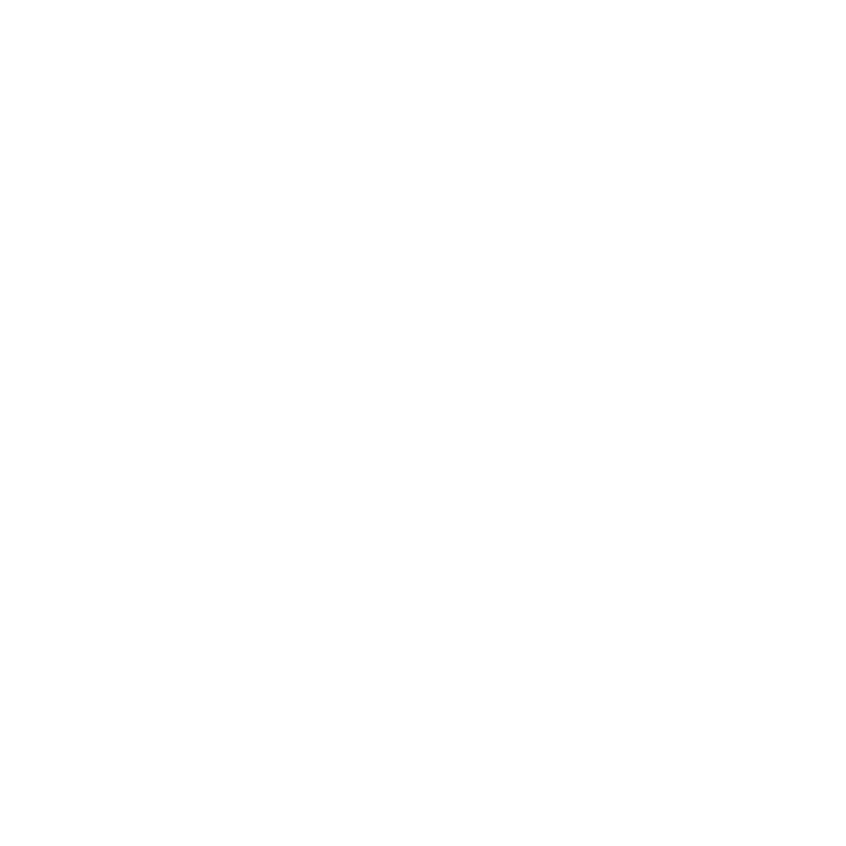 EXPERIENCED MANAGEMENT TEAM