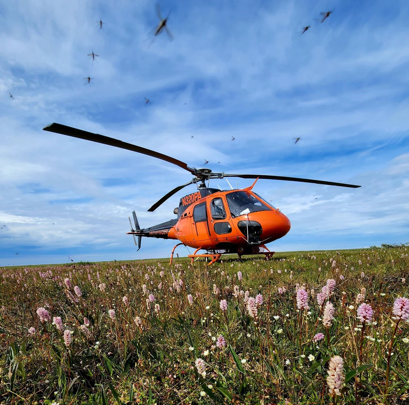 AIRBUS H125 ASTAR B2 & B3
